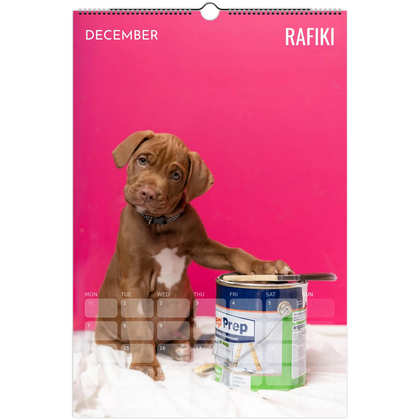 200b8e5e-e036-4493-b362-4e1f217af542