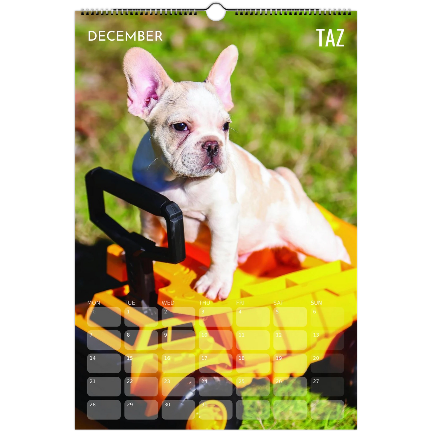 2ed4de29-f56f-42e7-8470-8f690b2274ed