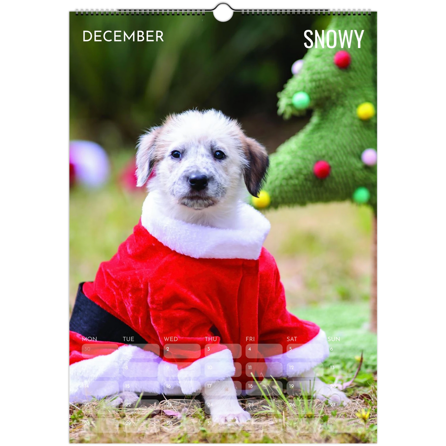 5fd46a83-c21f-480f-8e27-f6a7d40b74f8