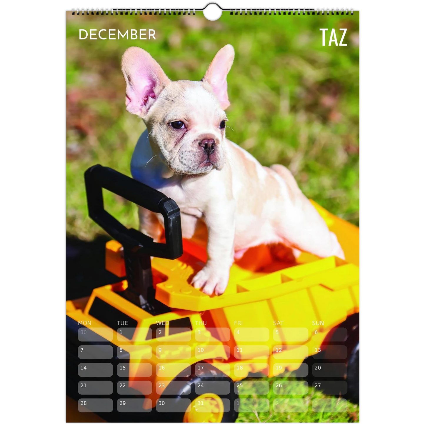 733a1535-7fcc-403a-aba4-295627625ceb