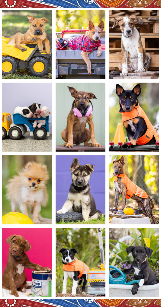 STANDARD Tradie Puppy Calendar 2027