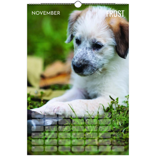 c7ad7e8a-8000-4e8f-89d1-6300a2ef8647