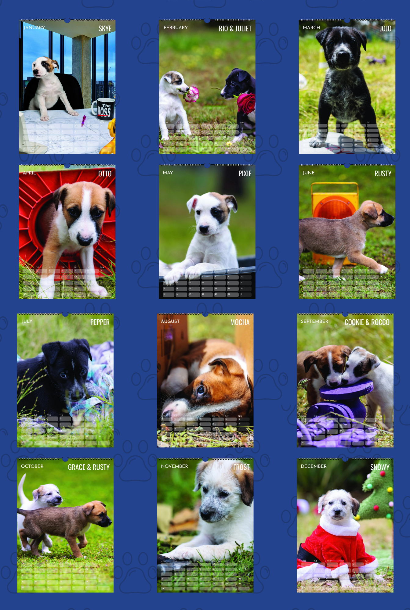 Rescue Puppy 2026 - Ship To US & CA