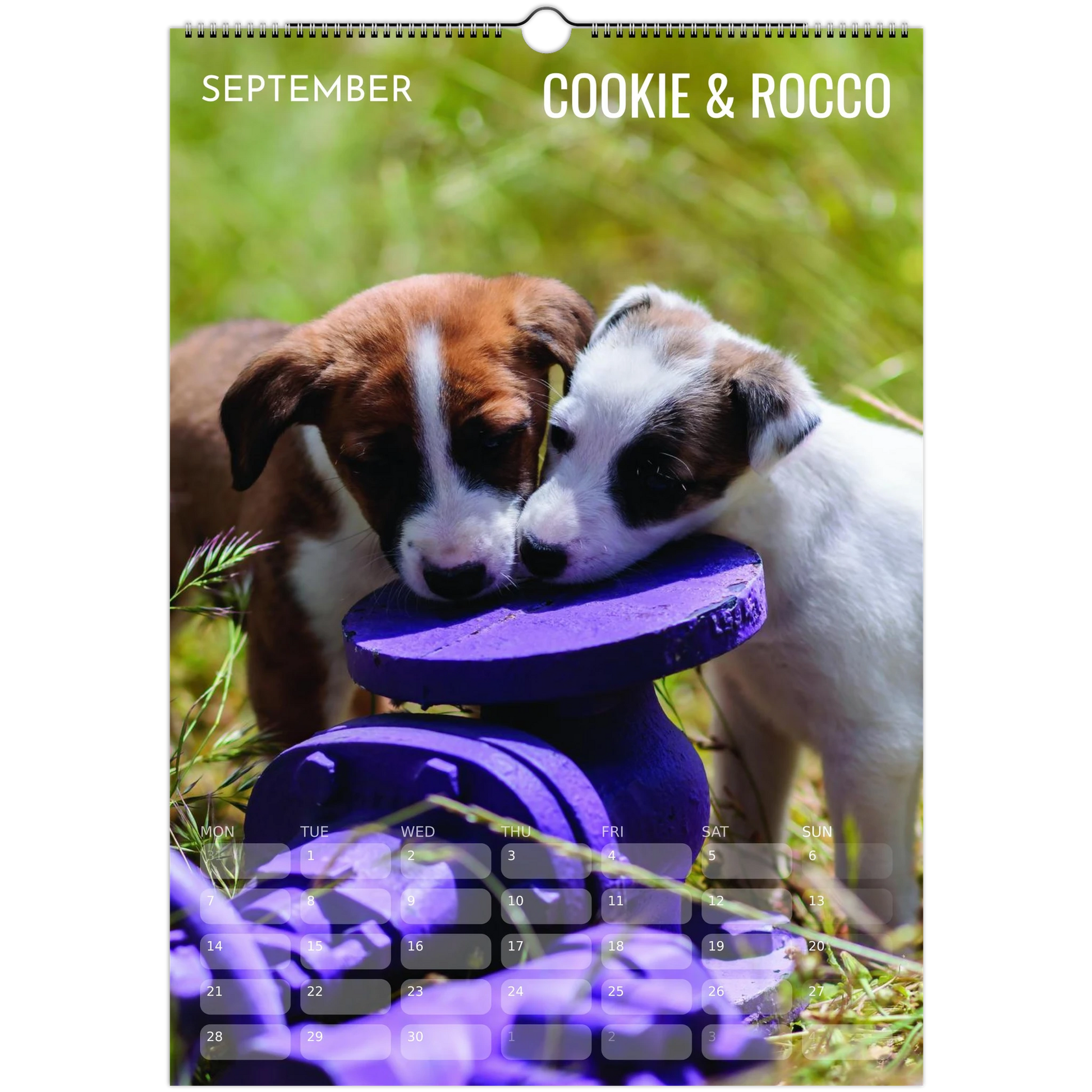 005dfd68-12be-48ef-9e21-97c16d582919