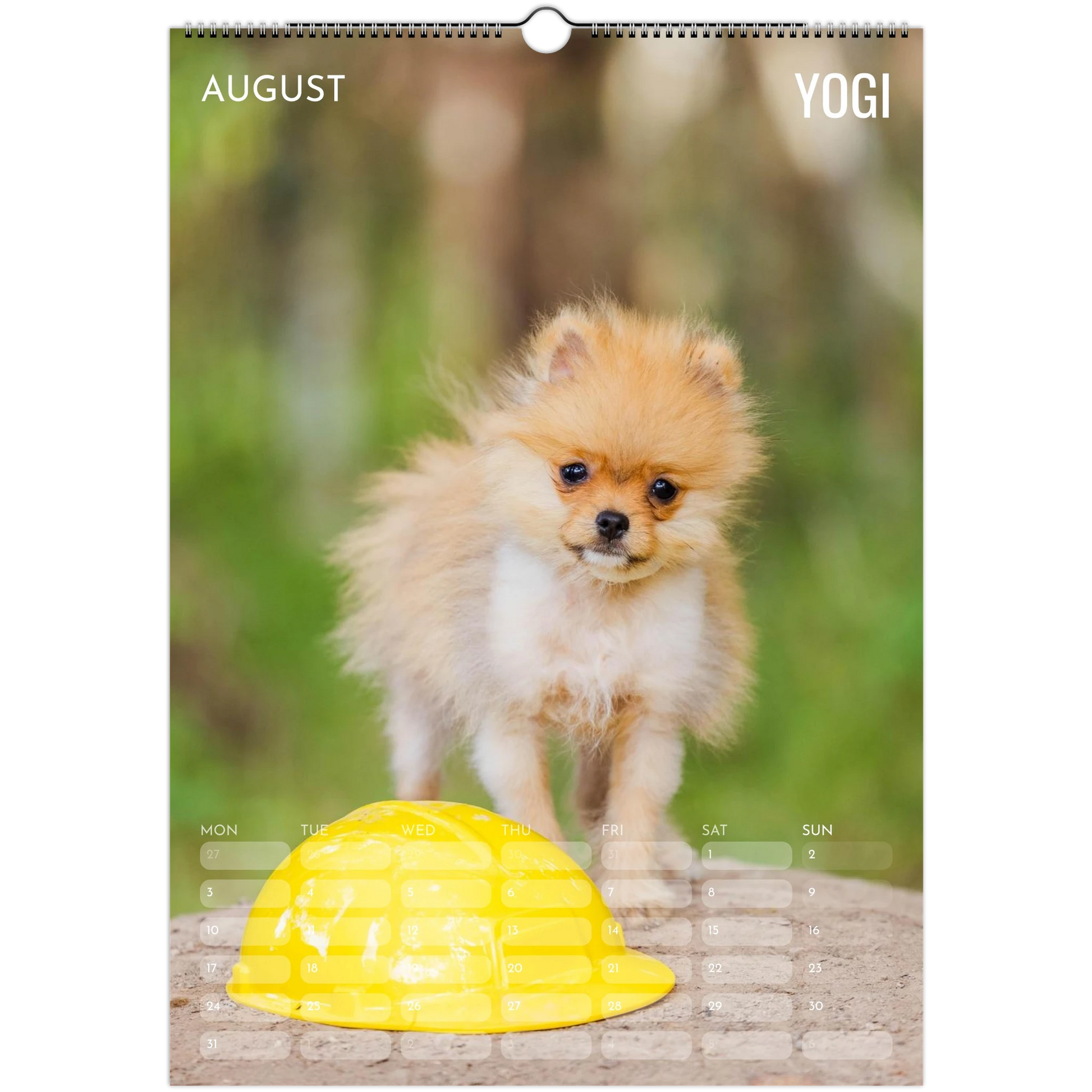 01c34428-c6dc-4d40-8f1a-6379269385be