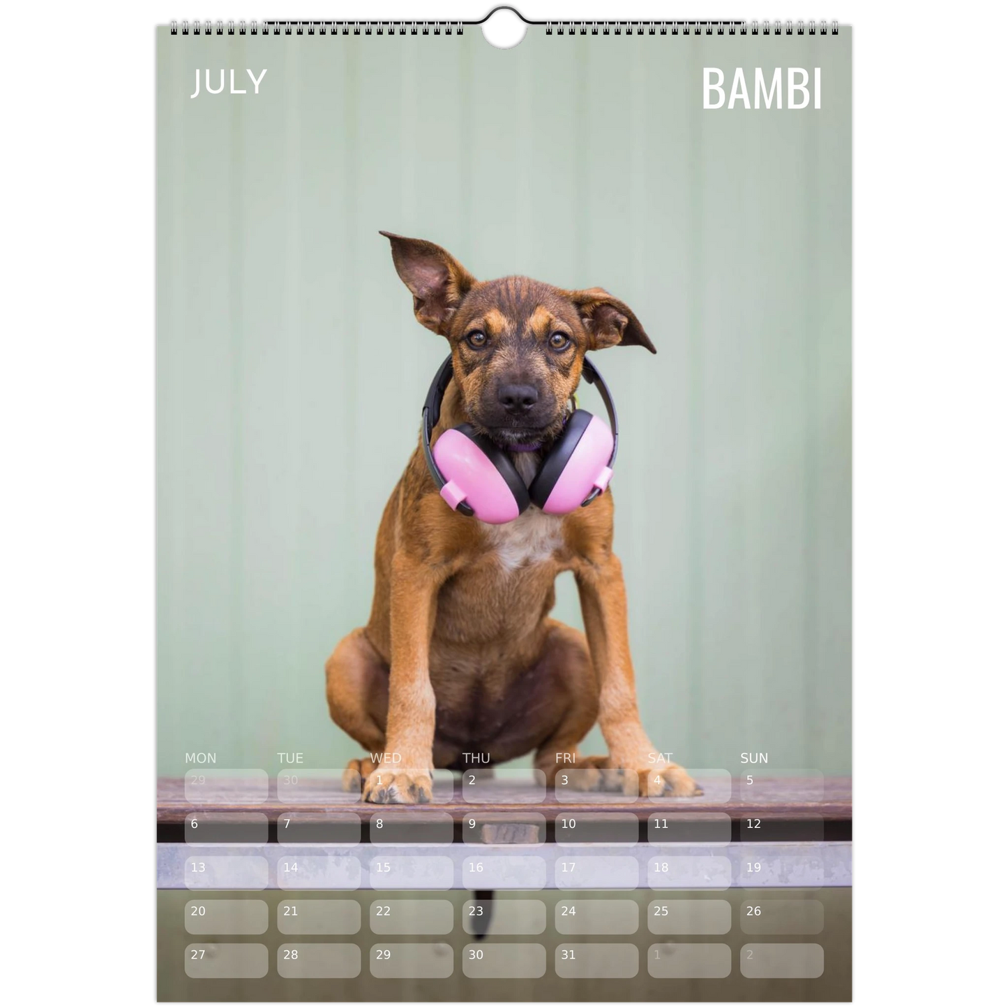 0564b774-1661-4cb7-8819-fe00001c8c09