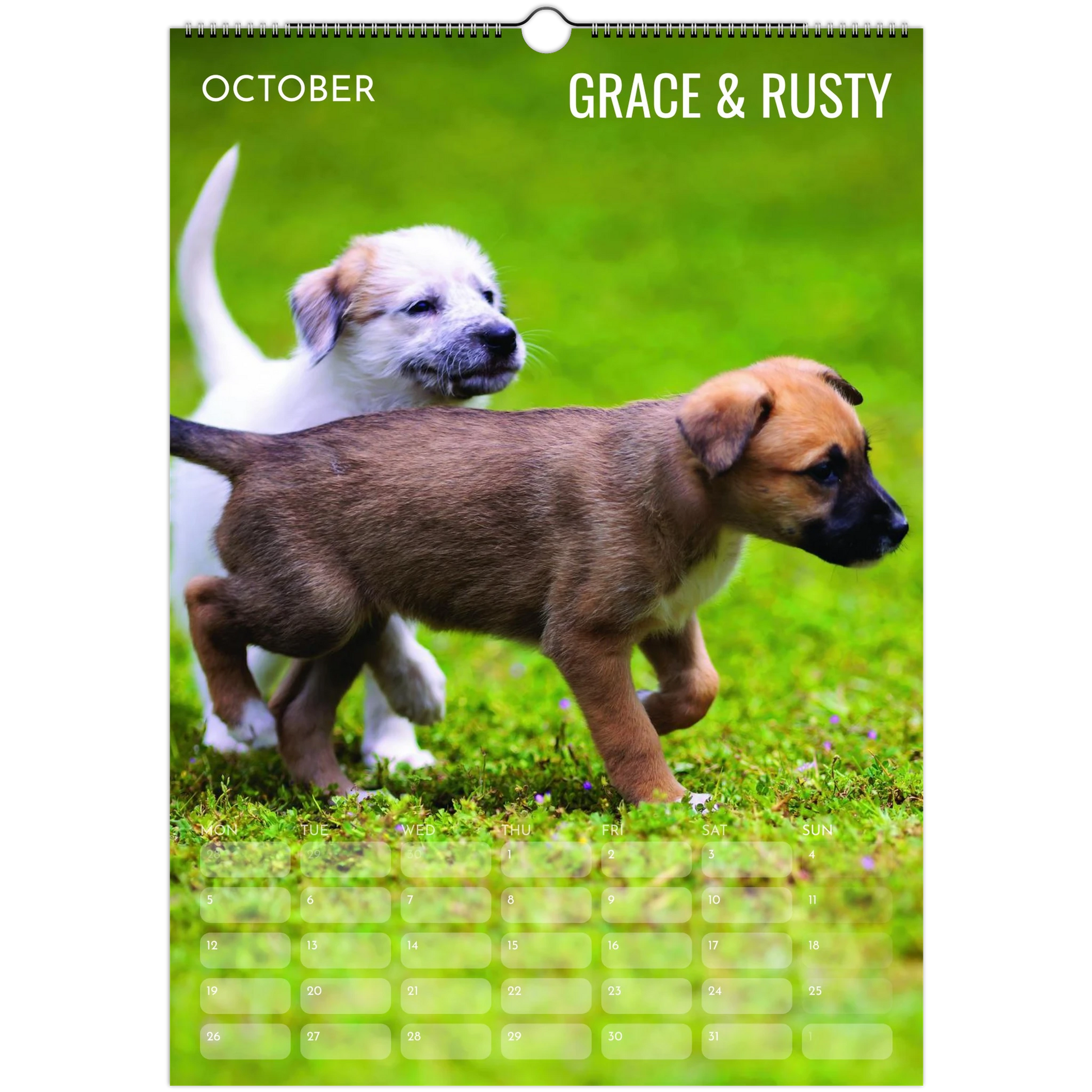 0a63e523-698a-469f-bace-9aacb2e74907