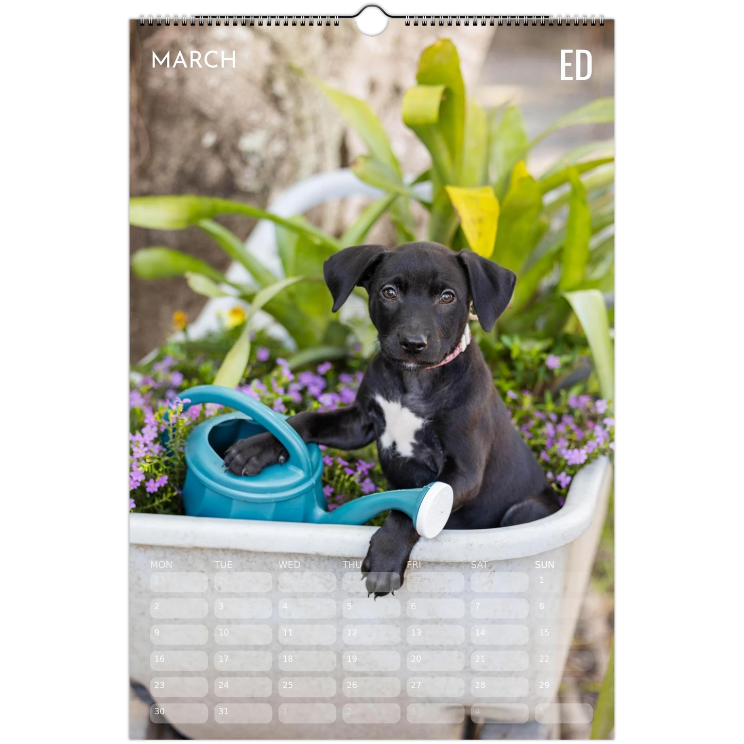 15c8599d-afb7-4955-88e0-af837e6c5d03