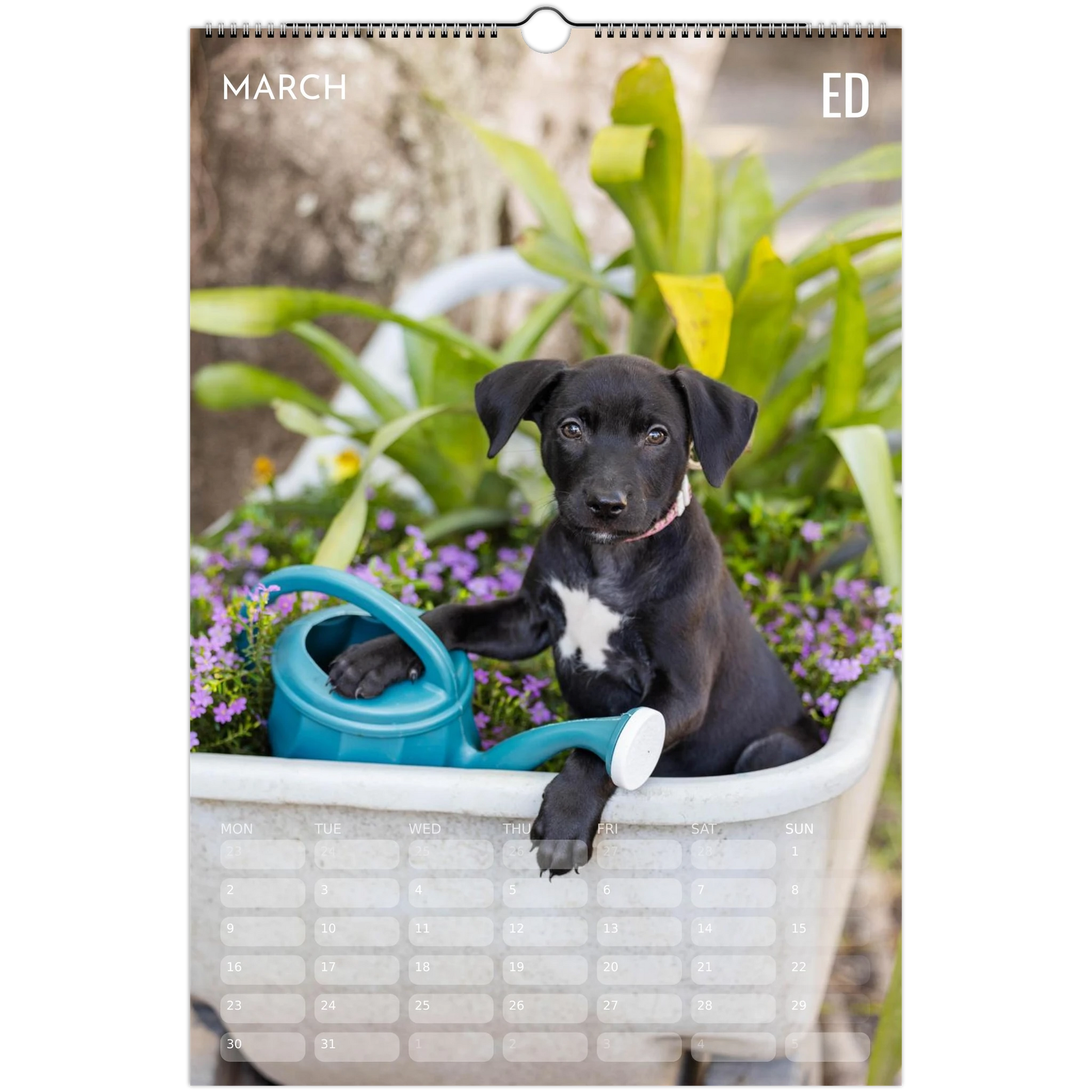 15c8599d-afb7-4955-88e0-af837e6c5d03