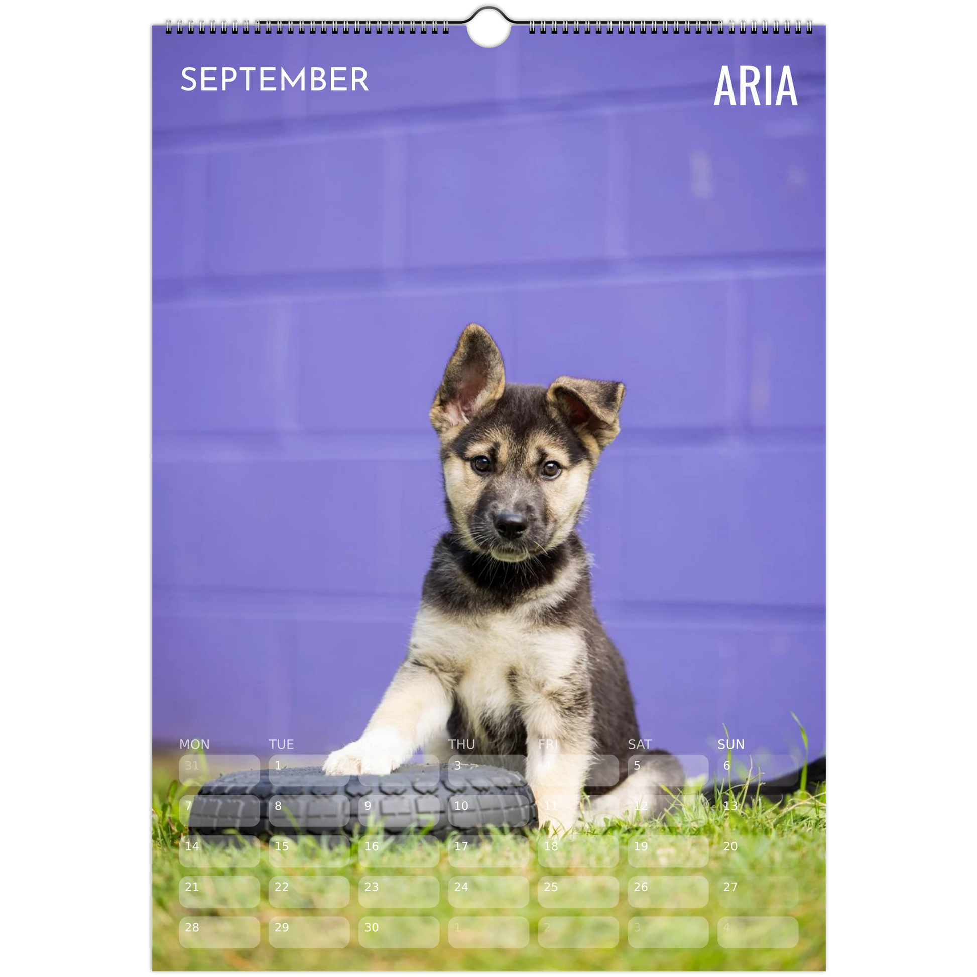 184d3f2a-3020-498e-868a-ae1fb282d7ed