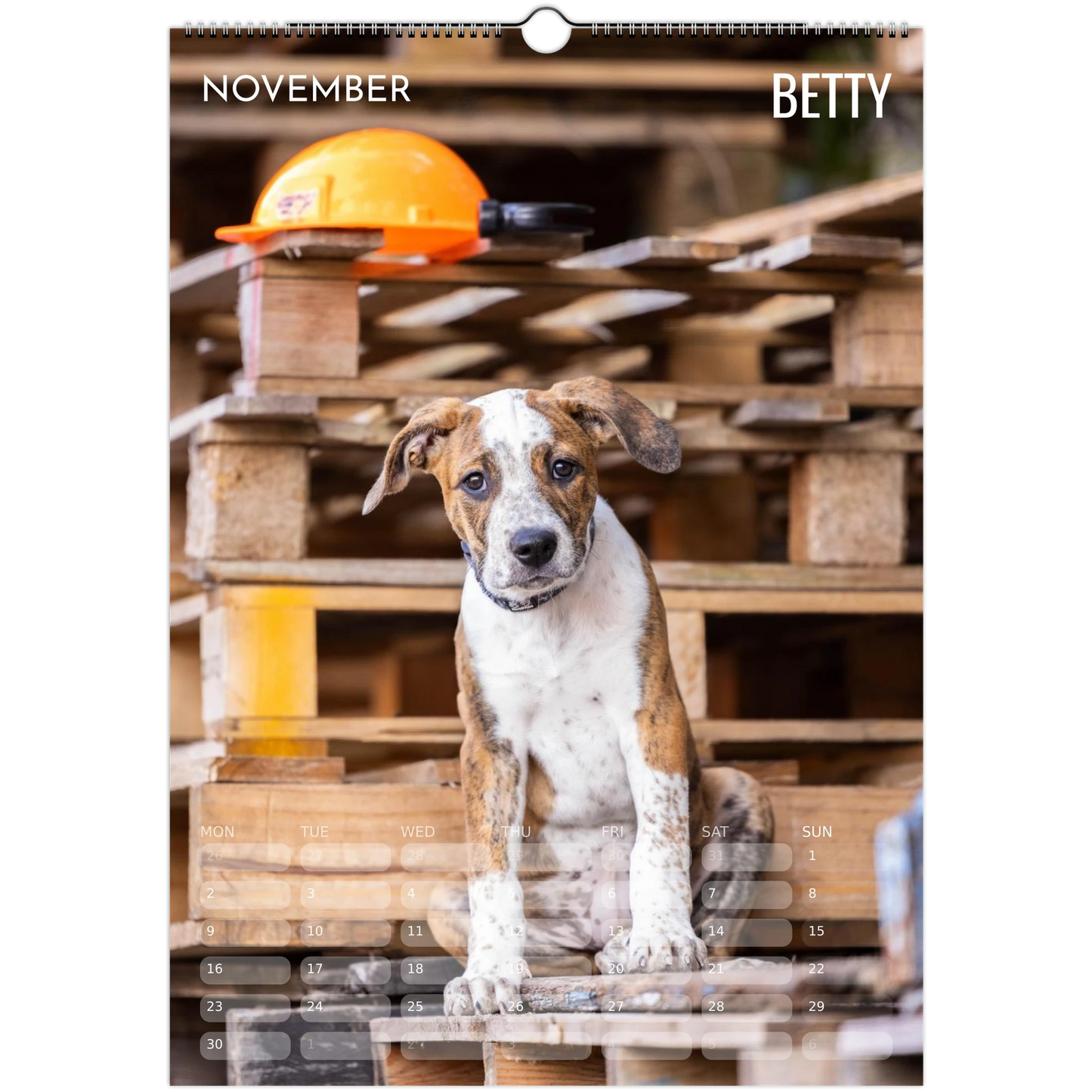 1a23d8a4-60fa-4887-b626-689a6adbb541