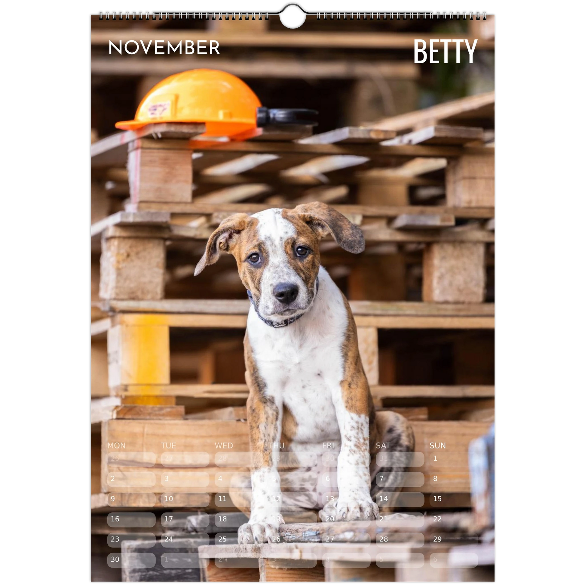 1a23d8a4-60fa-4887-b626-689a6adbb541