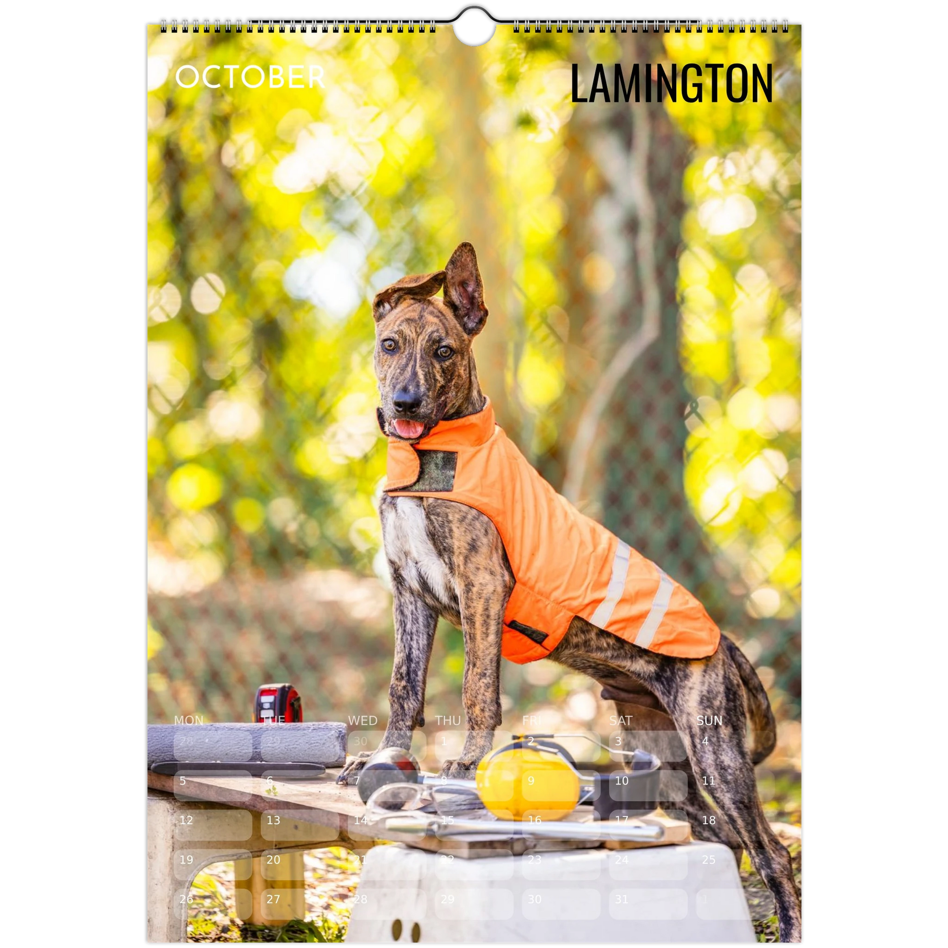 1fb21544-cd76-4b16-80ca-d5bb026ab094