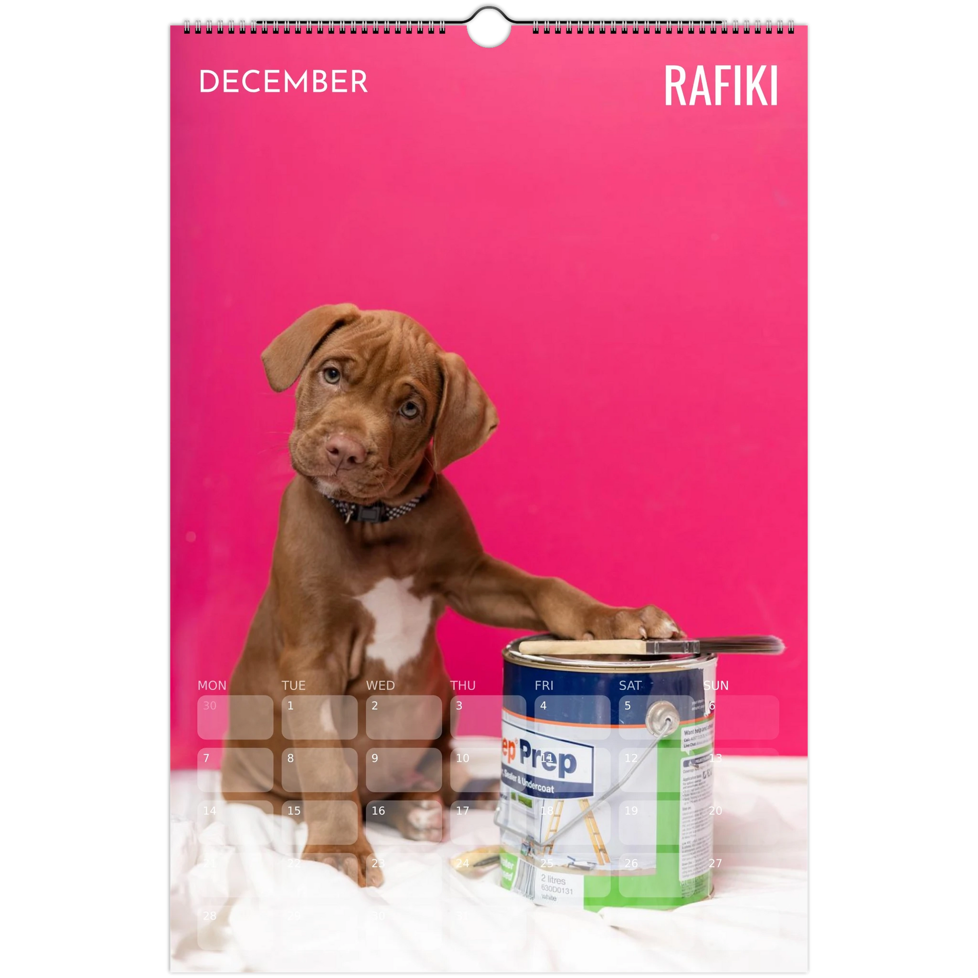 200b8e5e-e036-4493-b362-4e1f217af542