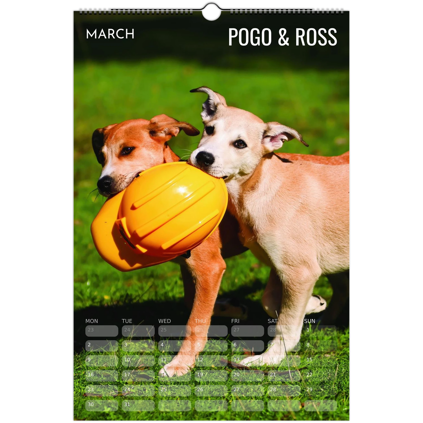 210ea843-72ad-4eff-93d0-e8e07f8582bb