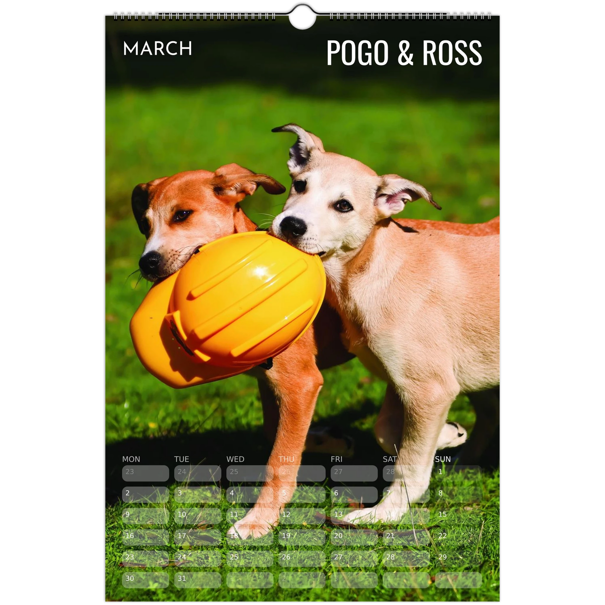 210ea843-72ad-4eff-93d0-e8e07f8582bb