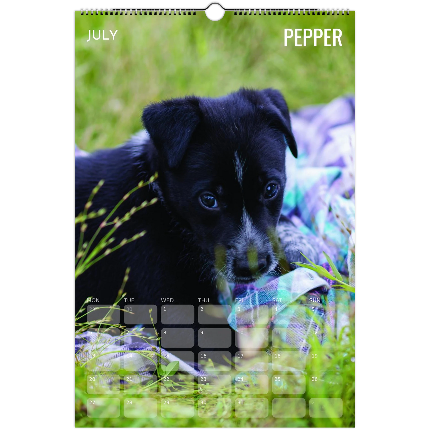 24afe441-c39c-48ee-a927-f77485419a39