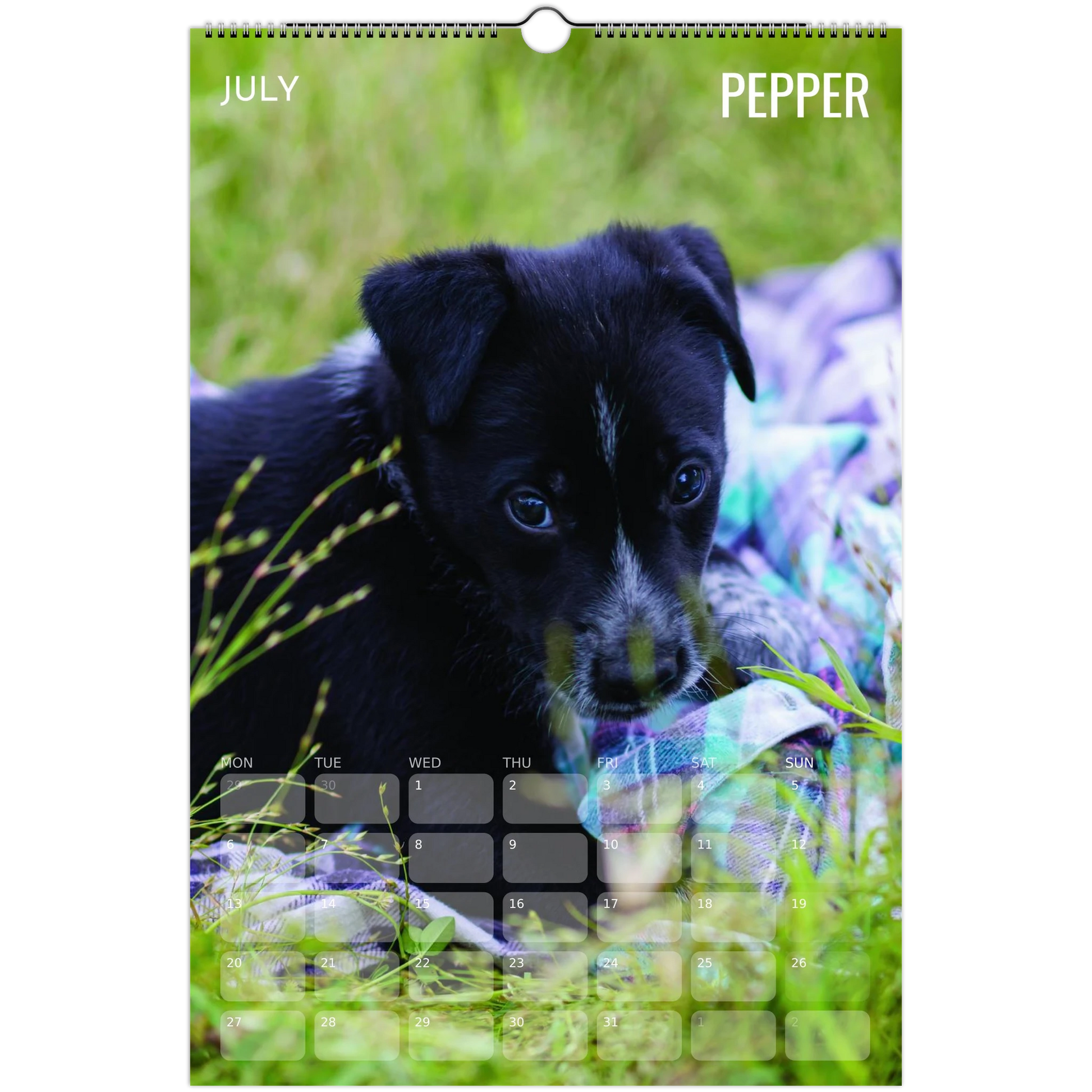 24afe441-c39c-48ee-a927-f77485419a39