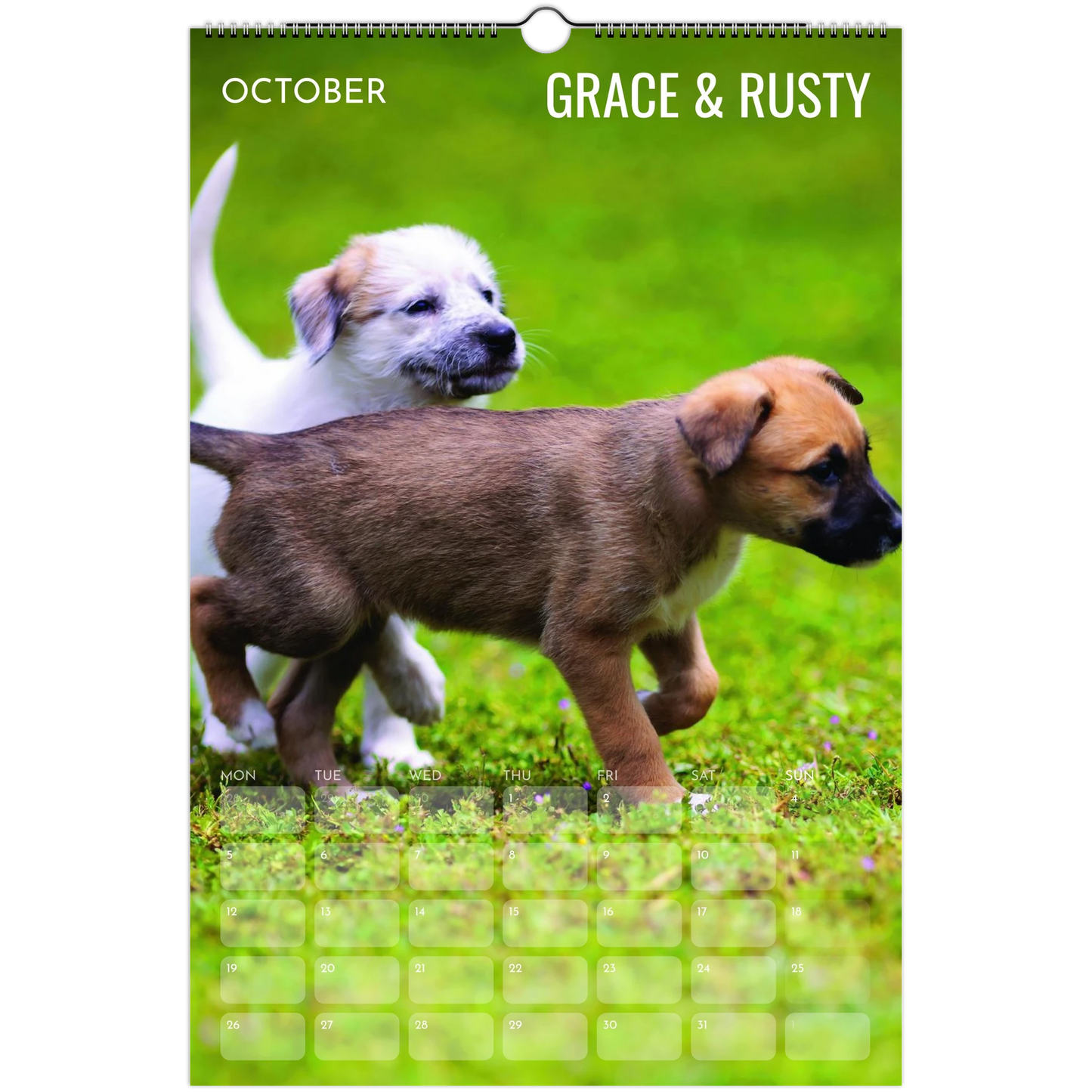 25c738df-f6f2-4ac9-9edc-90aac58b868a