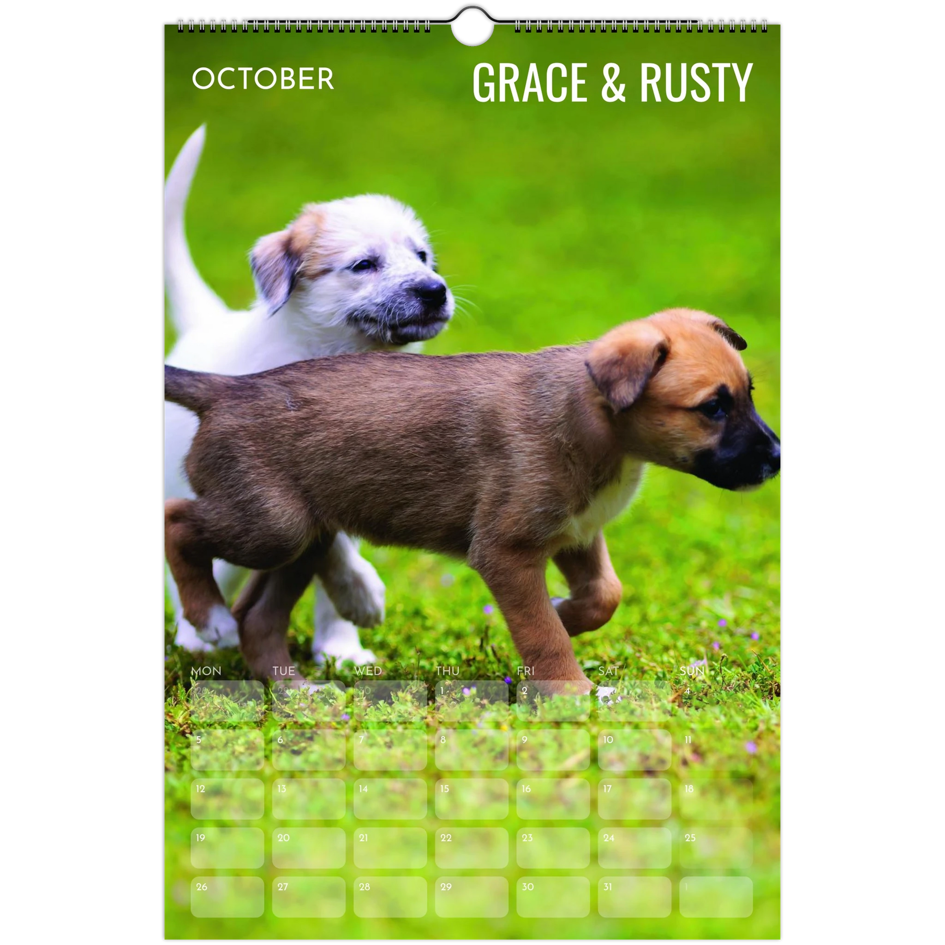 25c738df-f6f2-4ac9-9edc-90aac58b868a