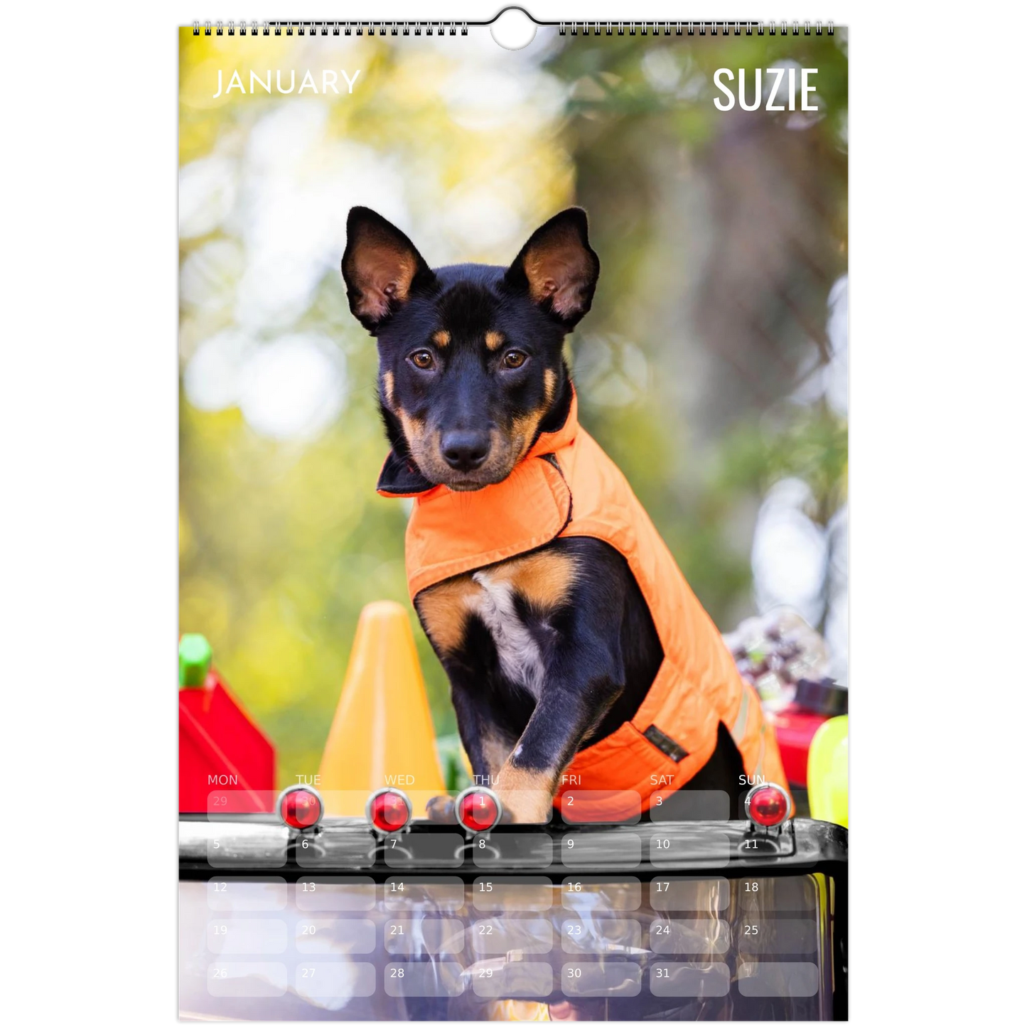 29f0a25f-1dac-417e-a548-19cb3a66589b