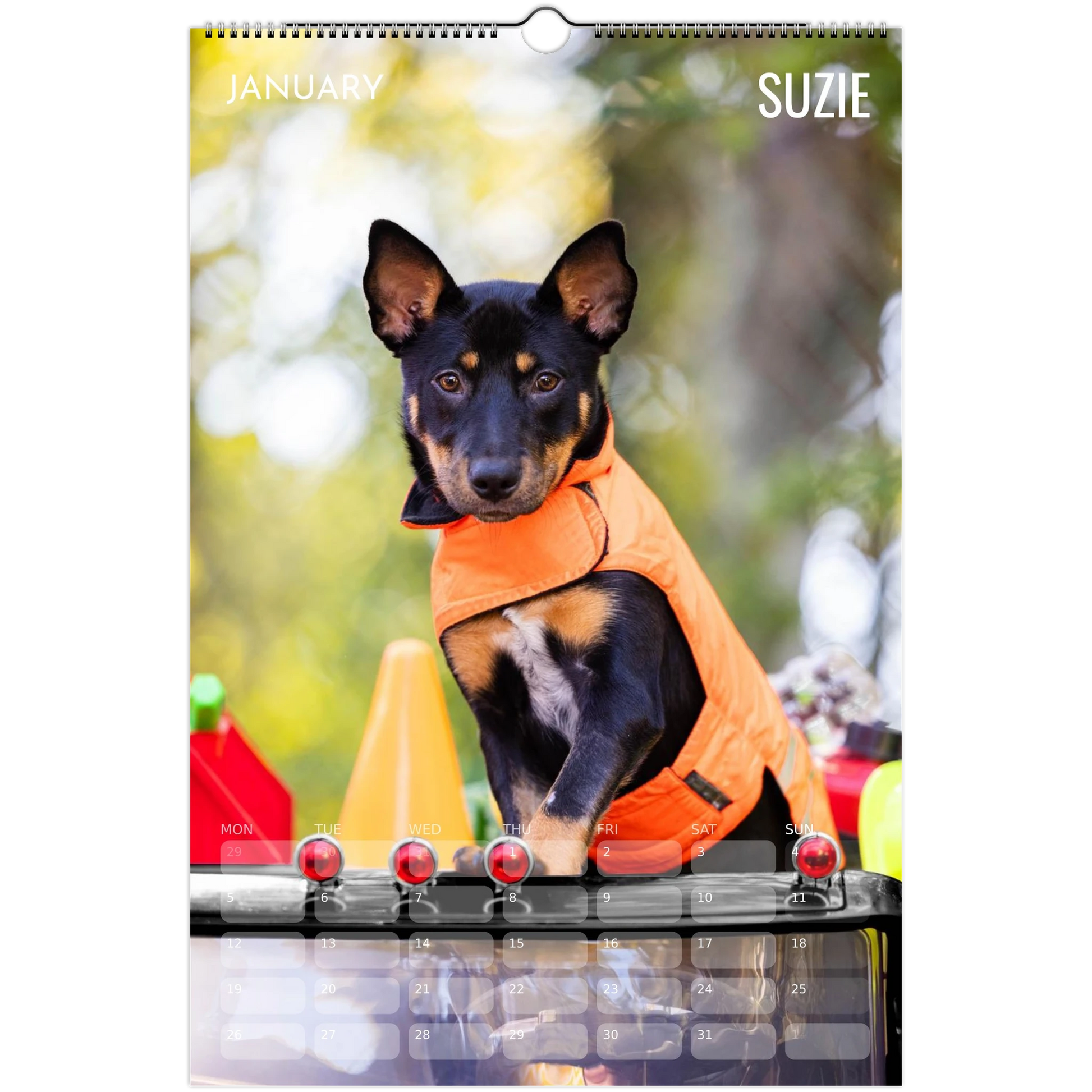 29f0a25f-1dac-417e-a548-19cb3a66589b