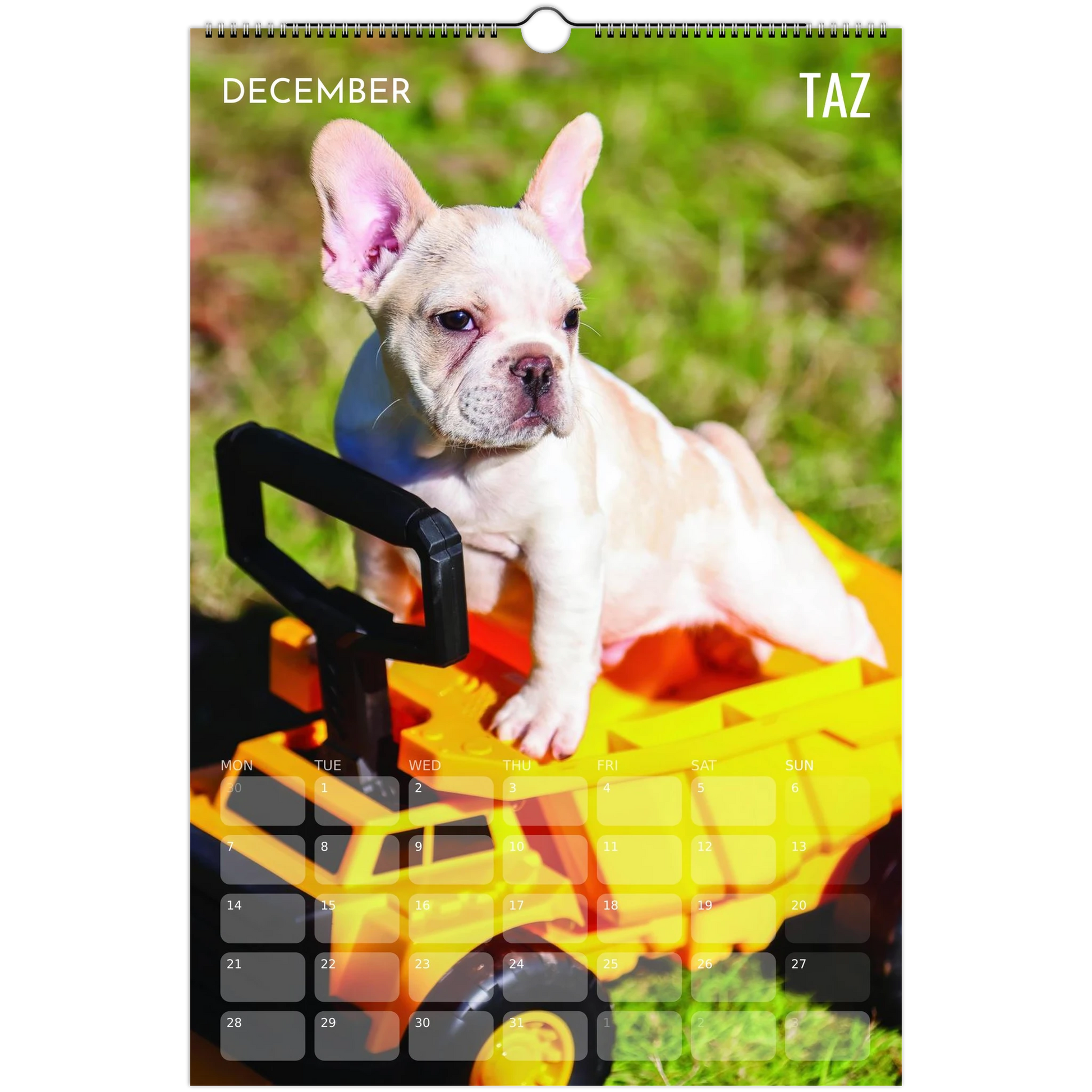 2ed4de29-f56f-42e7-8470-8f690b2274ed