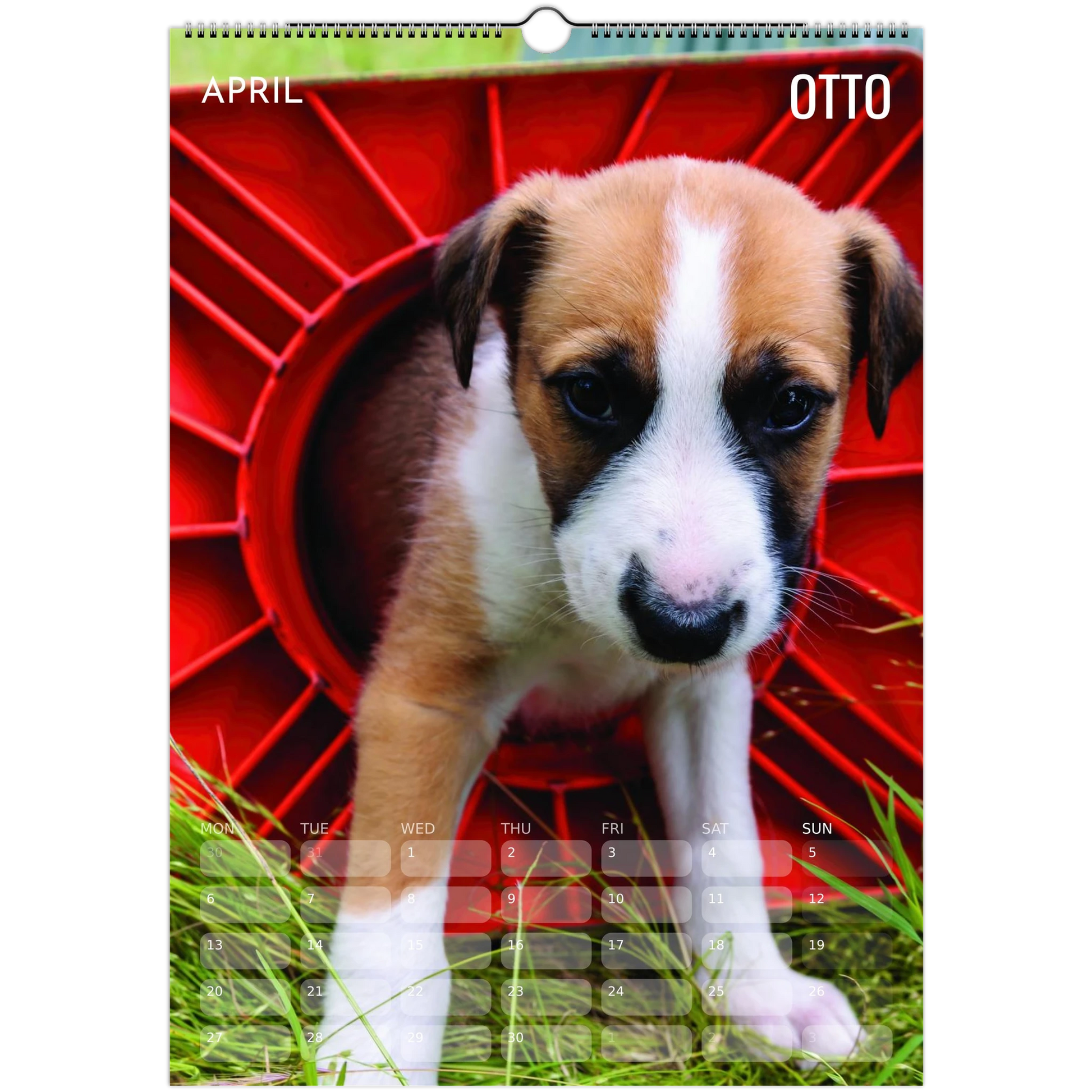 38b0f16b-cc4a-461b-bb46-79b50b882076