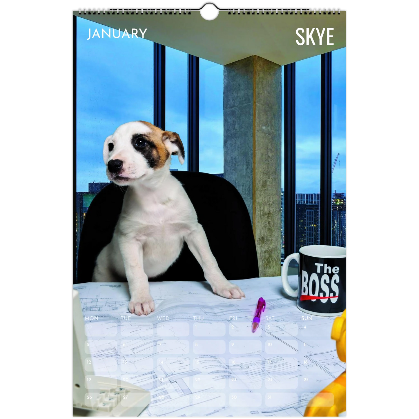 39c736d8-e7bb-4dc8-b8b3-581b6748f22e