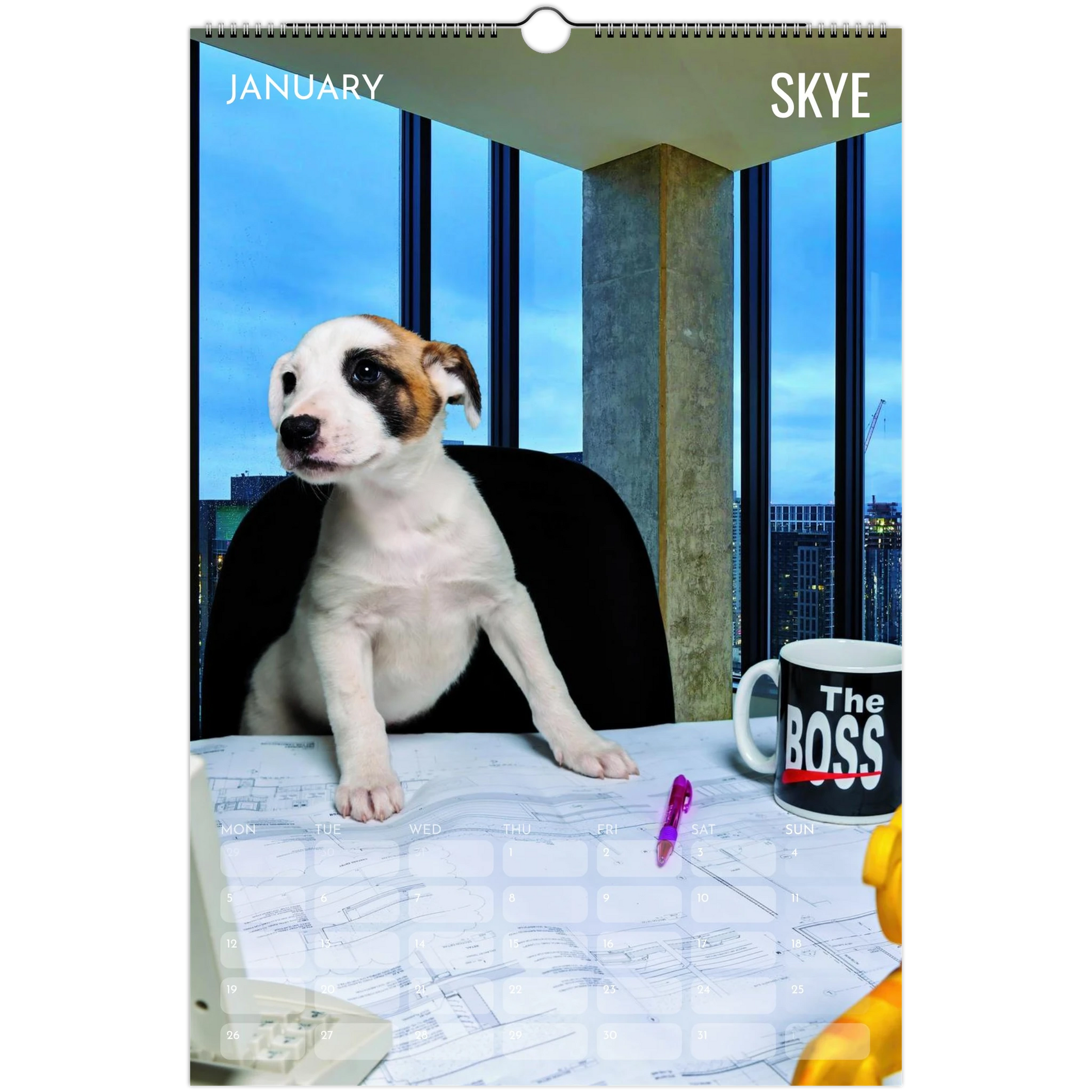 39c736d8-e7bb-4dc8-b8b3-581b6748f22e