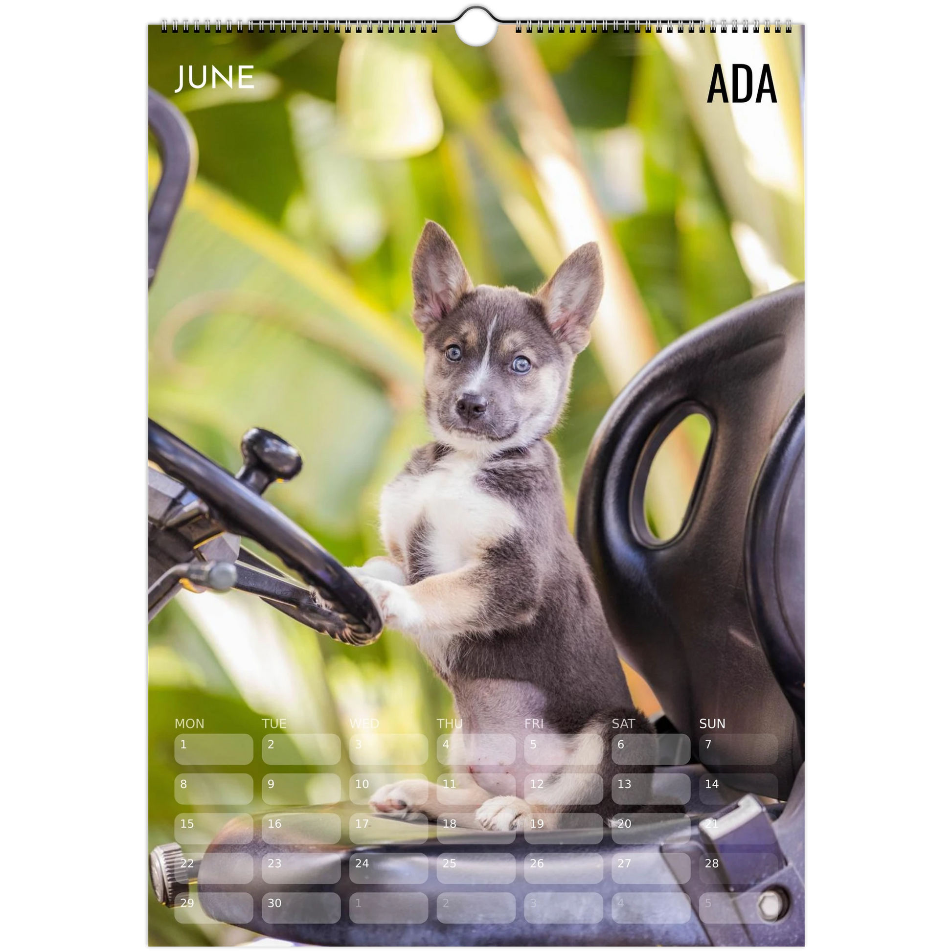 3f0c2ee5-77a2-4d3f-bdb8-ea8e7acd0c53