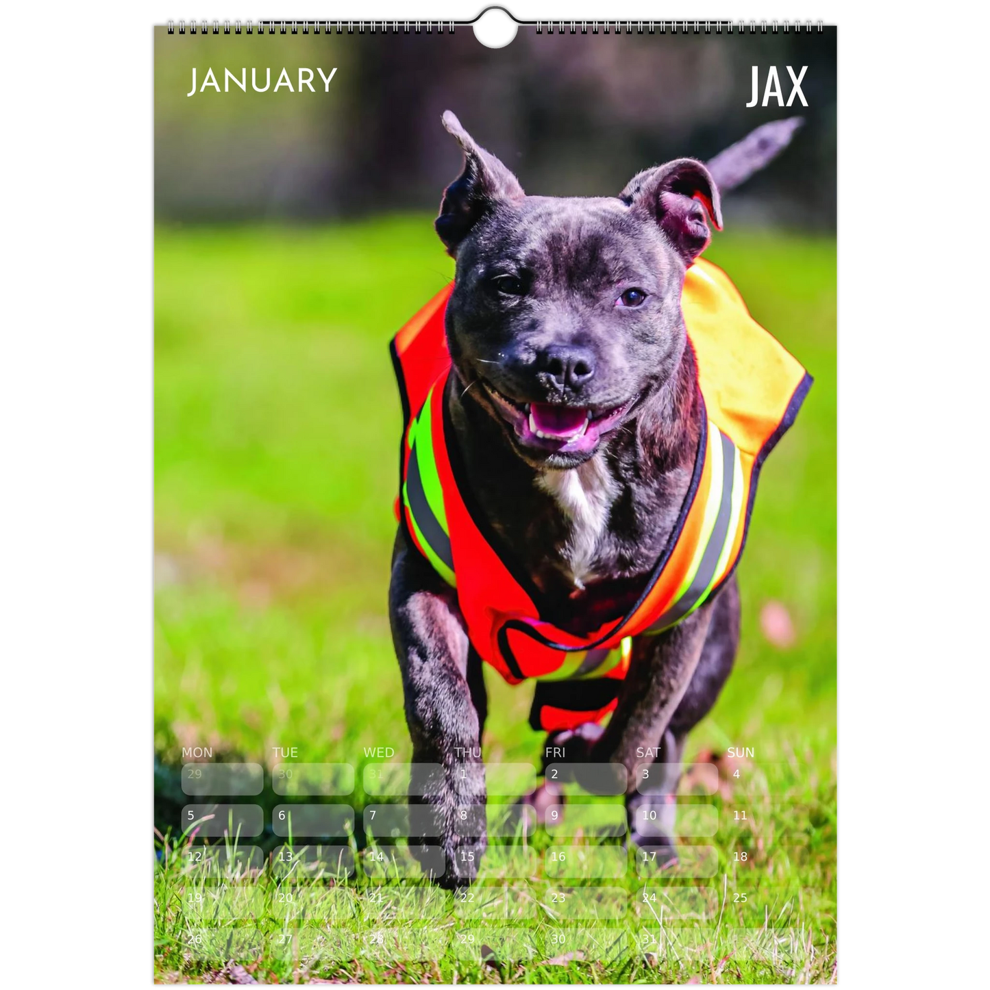 3ff1494f-7199-4168-a0dd-4afef3ab78ee