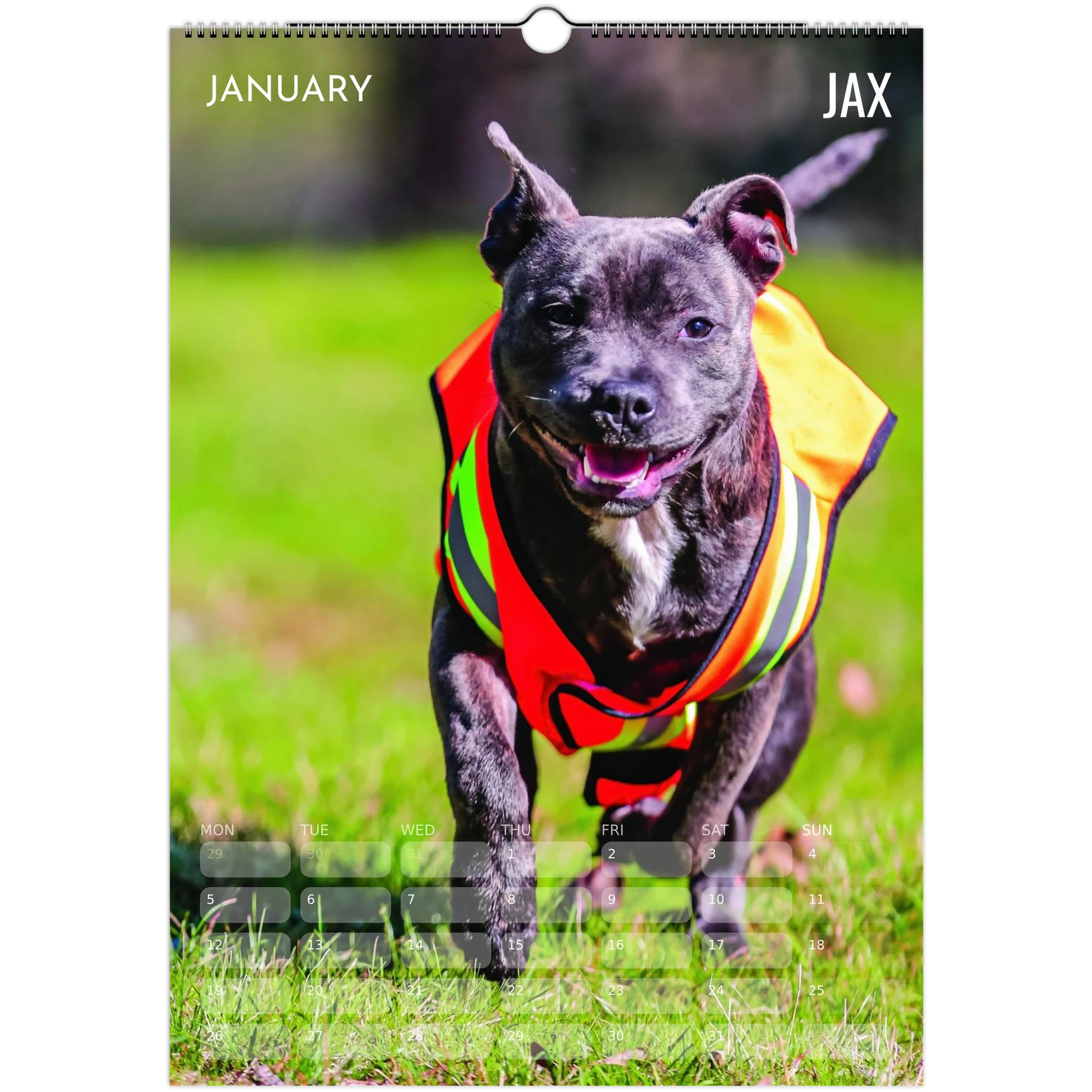 3ff1494f-7199-4168-a0dd-4afef3ab78ee