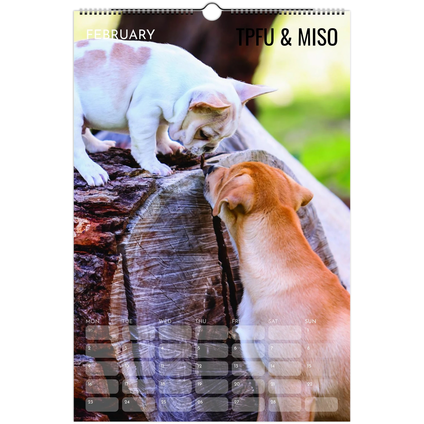 40cc6ac8-03c1-4c58-9b11-7aec1687b246