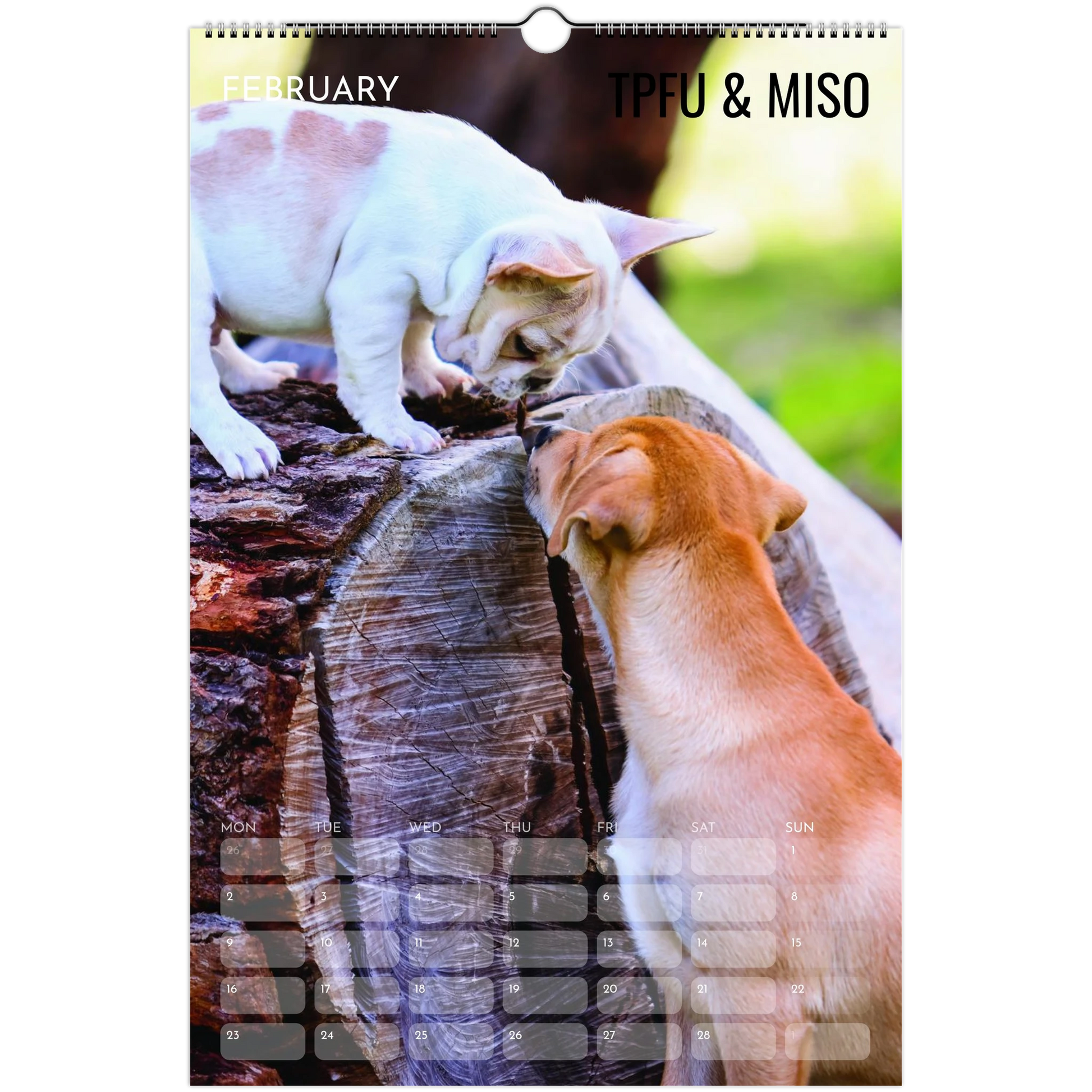 40cc6ac8-03c1-4c58-9b11-7aec1687b246