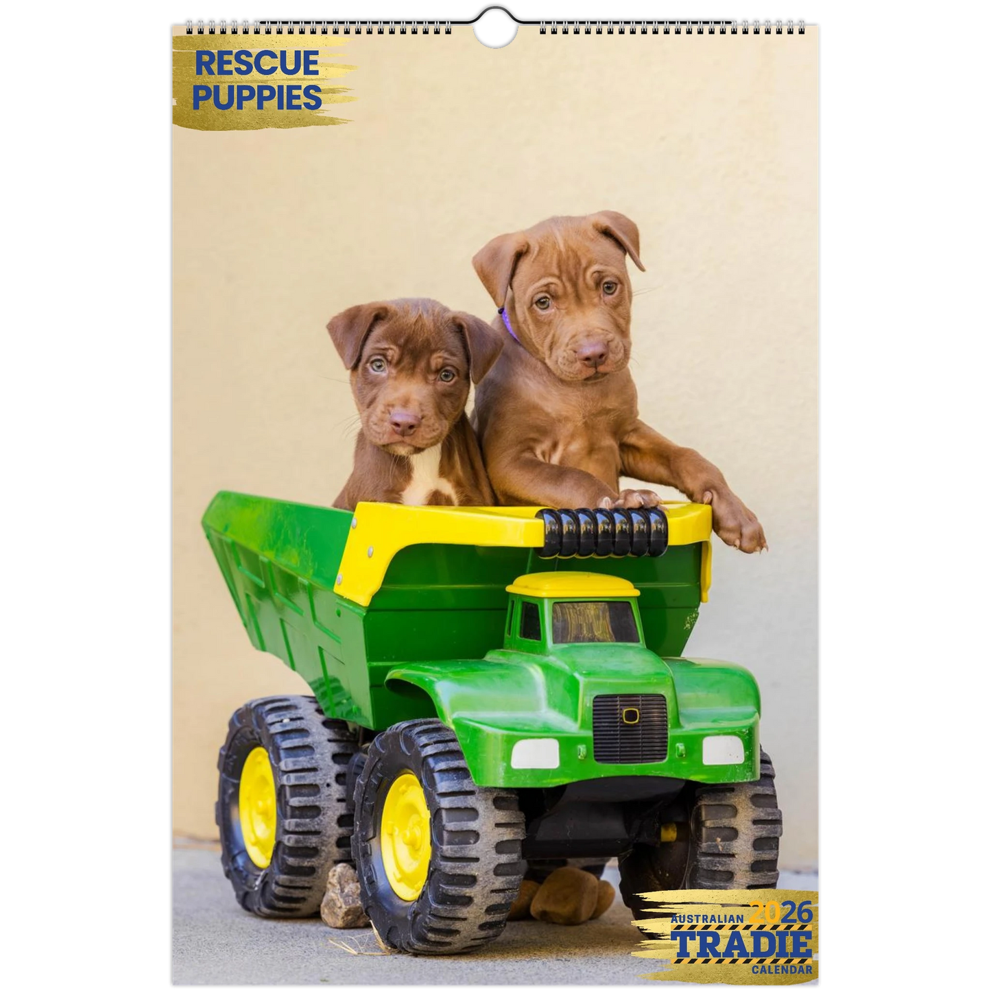 4bc10e1e-68bd-4d8b-8fc9-8136d7f89782