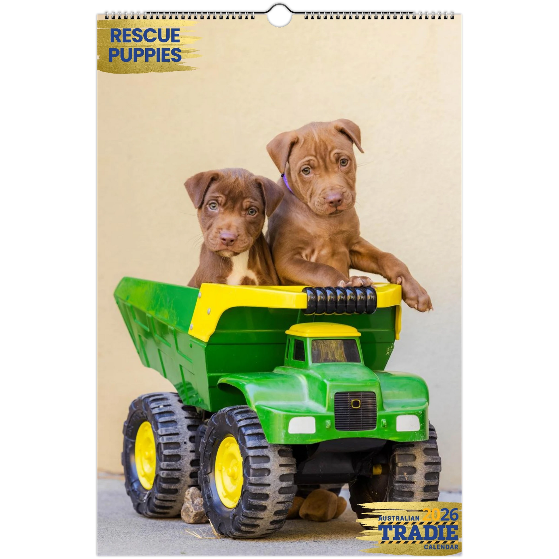 4bc10e1e-68bd-4d8b-8fc9-8136d7f89782