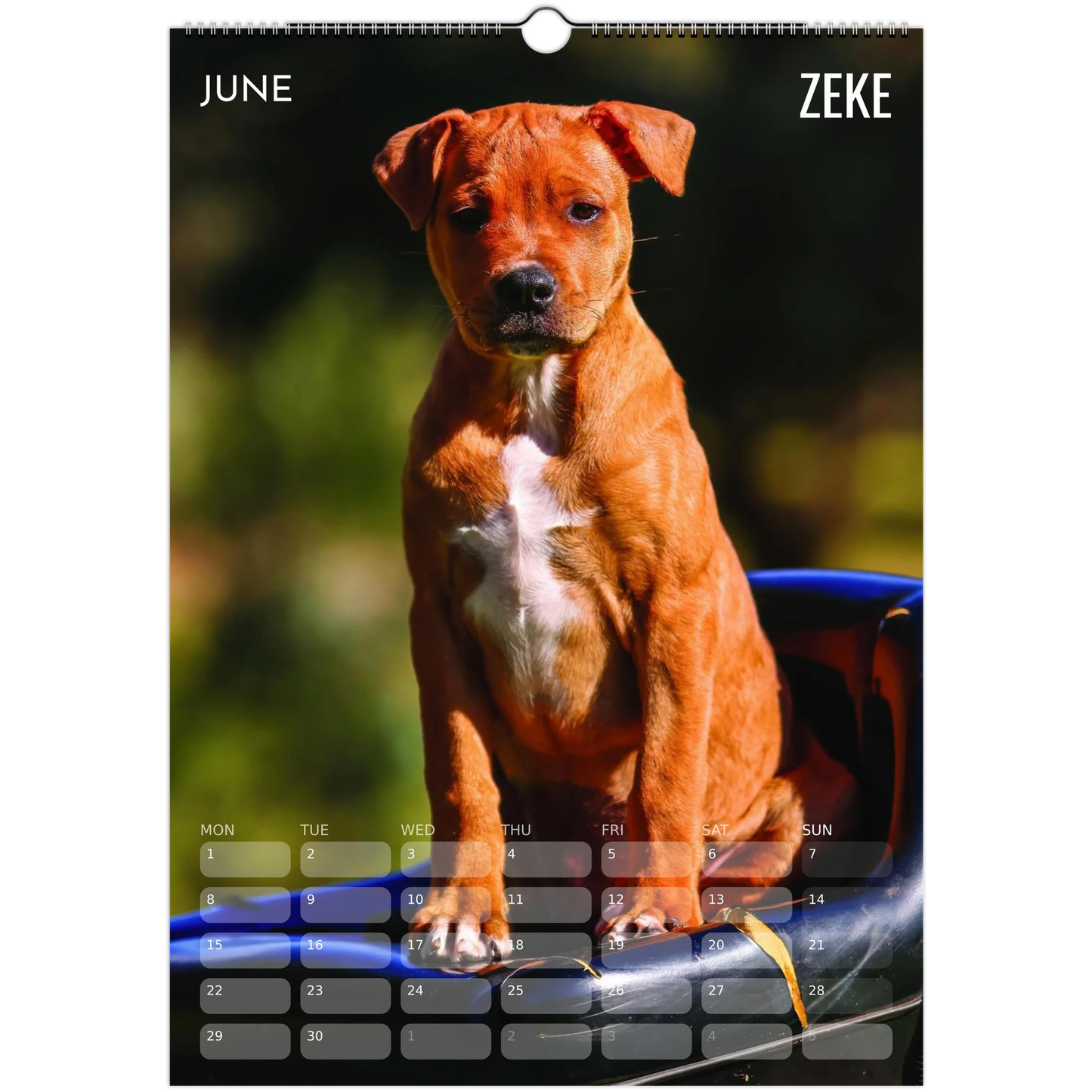 4e273cb0-6839-4c7d-8dbf-d113a1410dbb