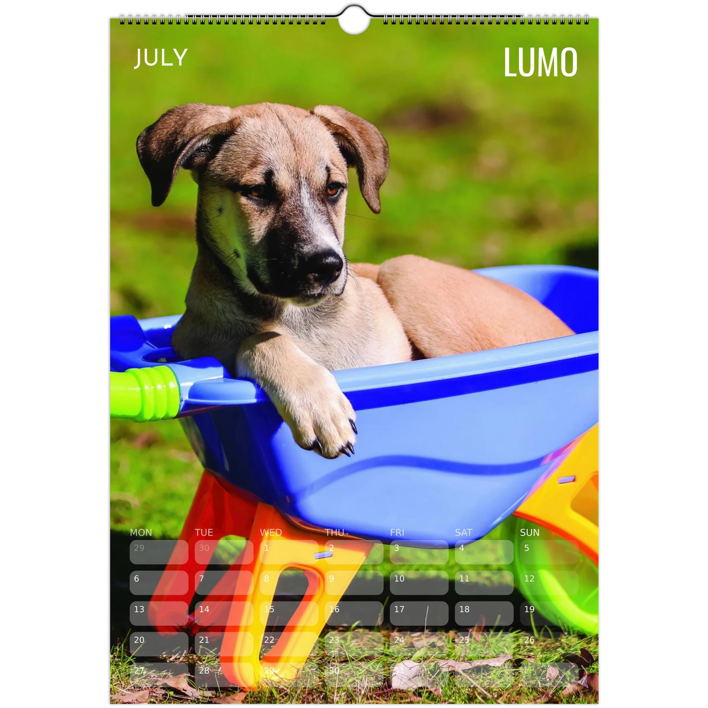 4e70ed47-f878-4353-9ca3-abd979d7837f