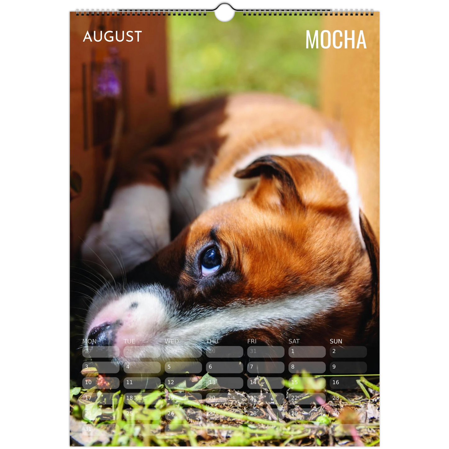 577b7155-dc3d-4588-9a4c-8efe2c23d5e9