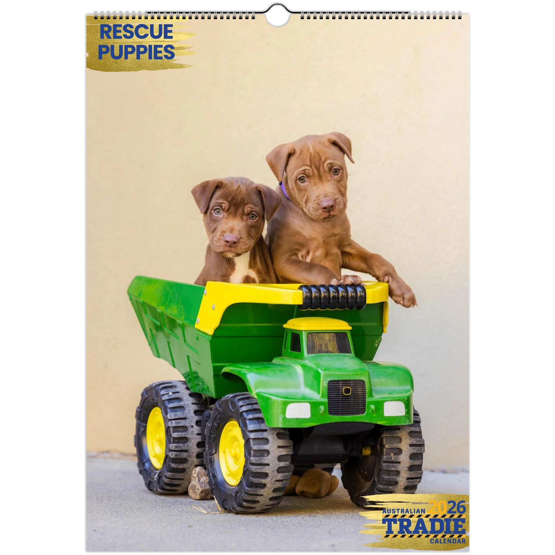 5d6b9634-23aa-4839-b3e8-9d1f9a8b371d