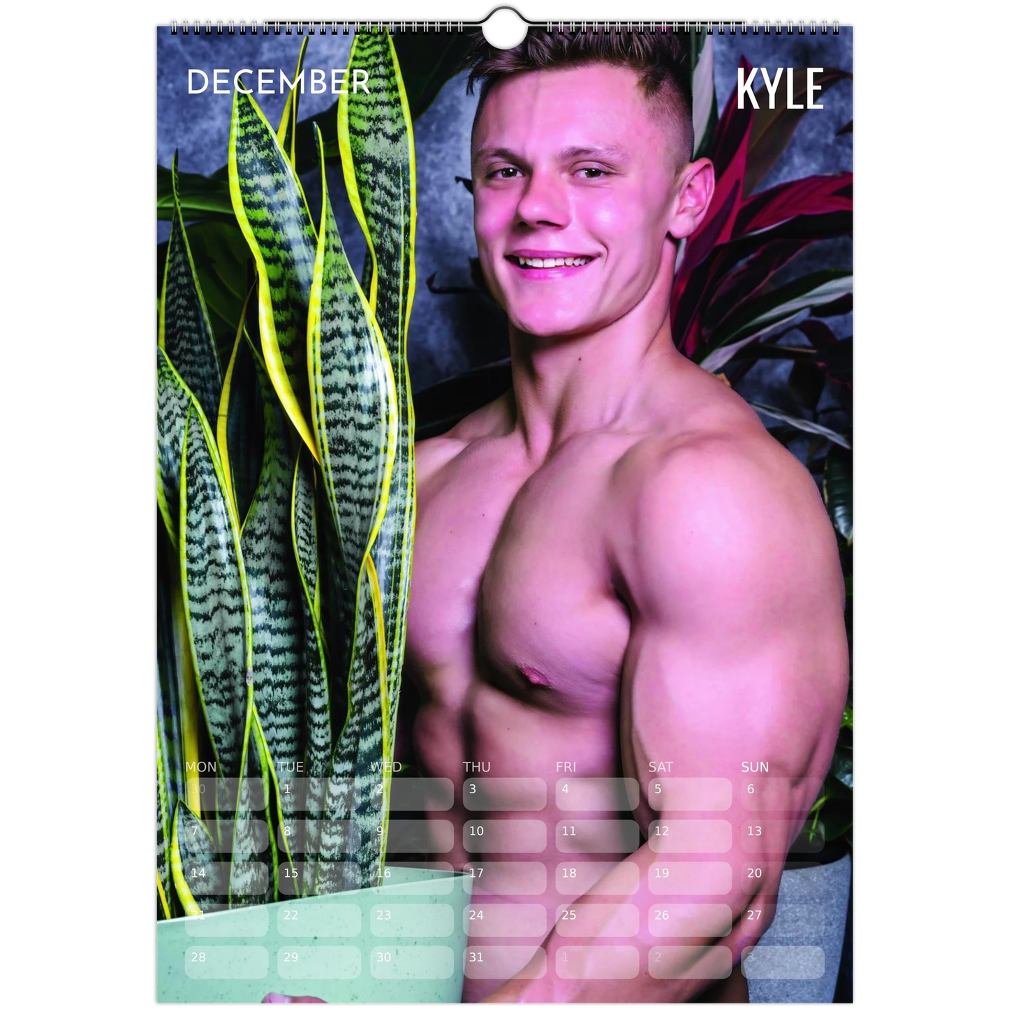 5ebcf6fa-27d4-4f64-9cab-edfaecde7176