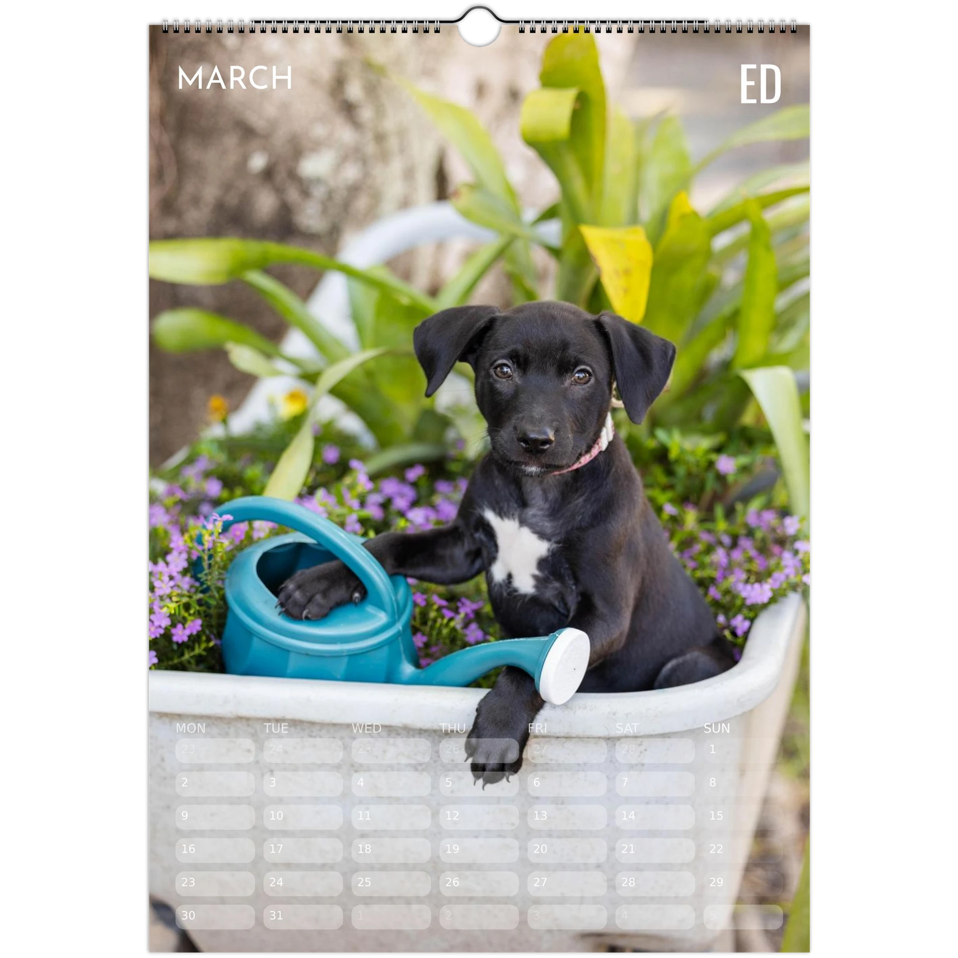 6384500a-c7de-4ab8-81c8-103ede31de33