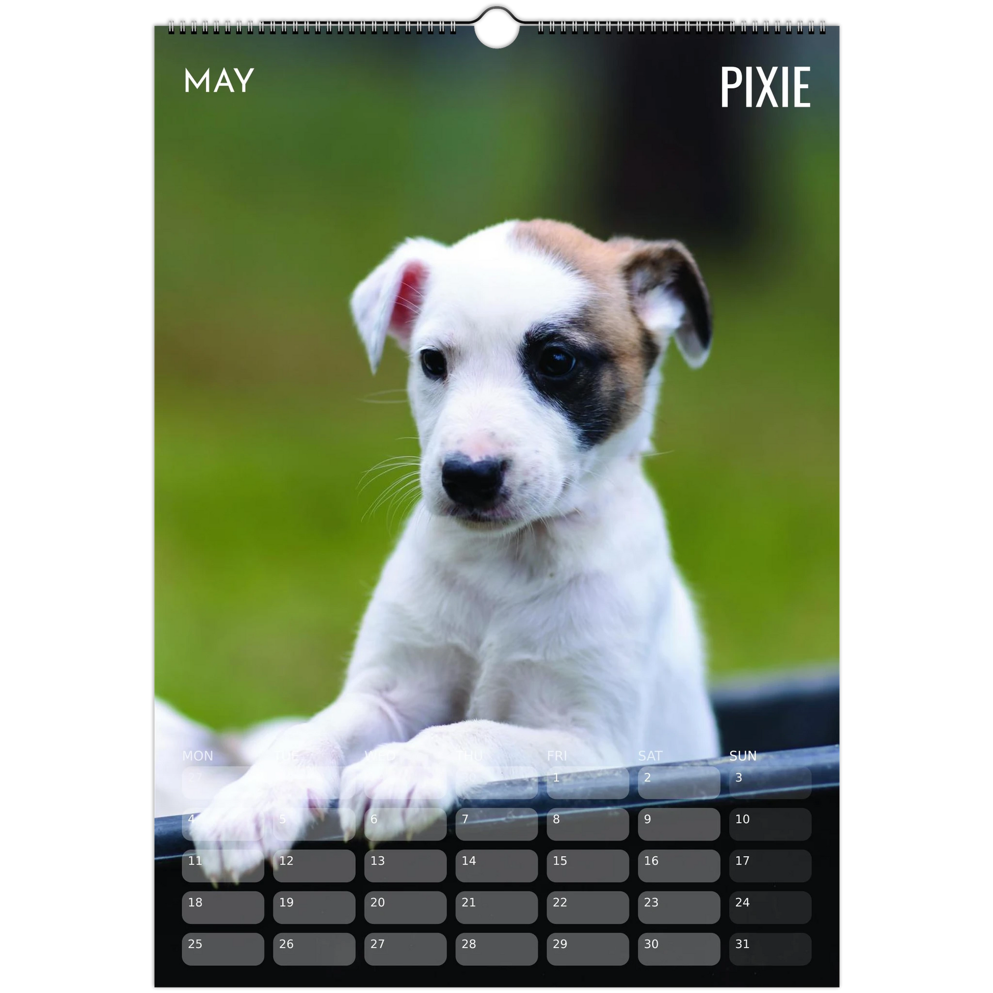 67f30ce4-aff9-4be9-9197-3a59c75e1211