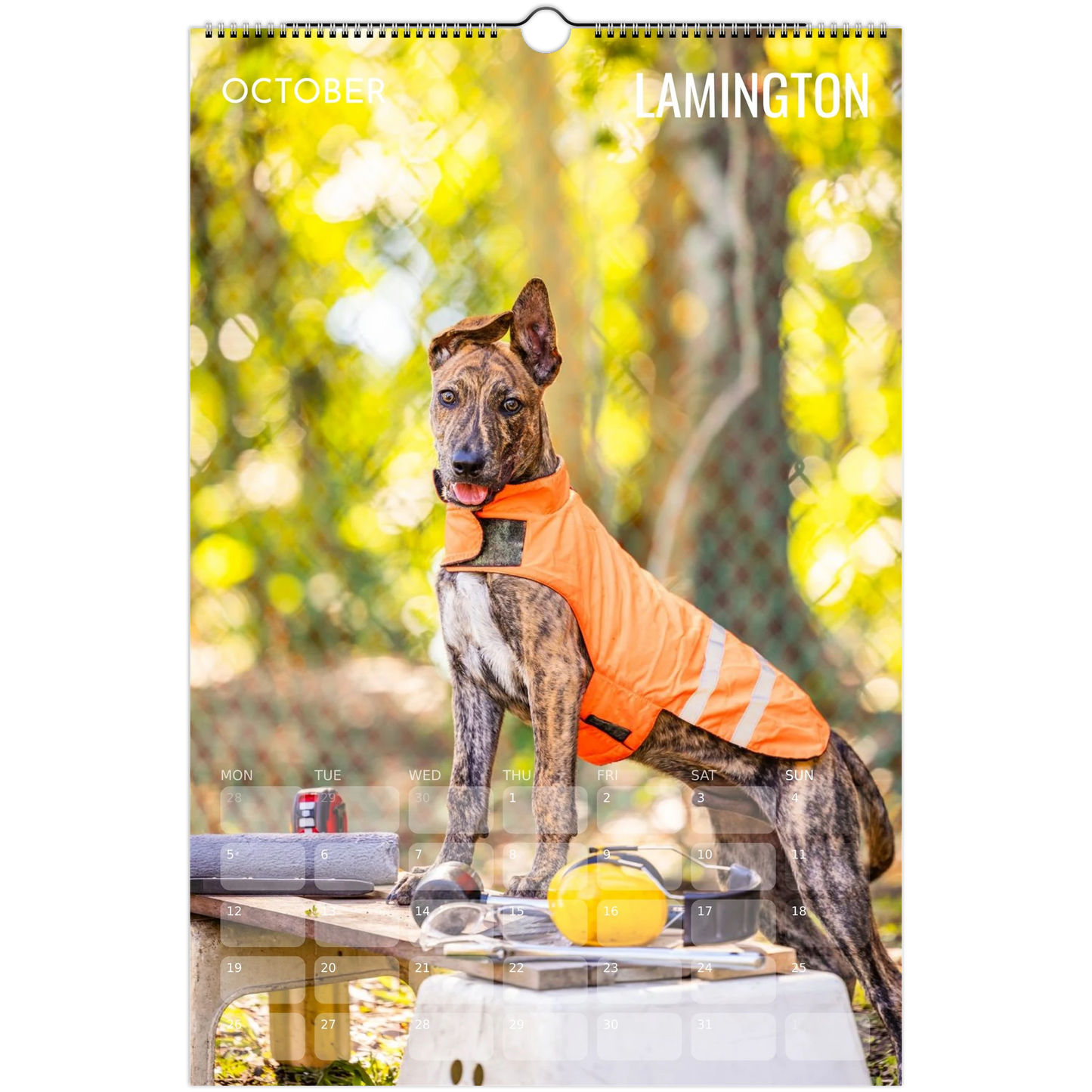 6a9e63a0-8a16-4a25-9dd7-4a3851266227