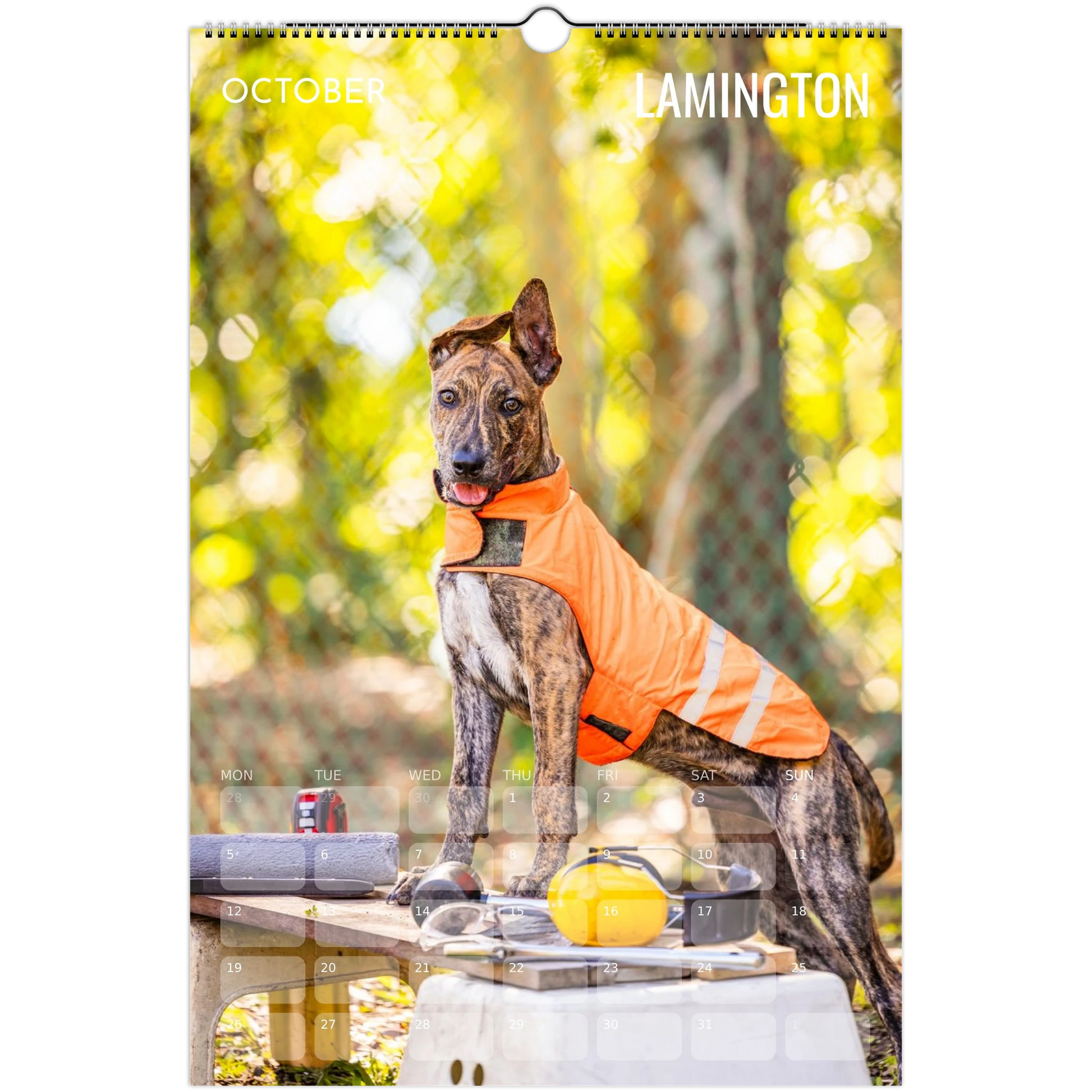 6a9e63a0-8a16-4a25-9dd7-4a3851266227