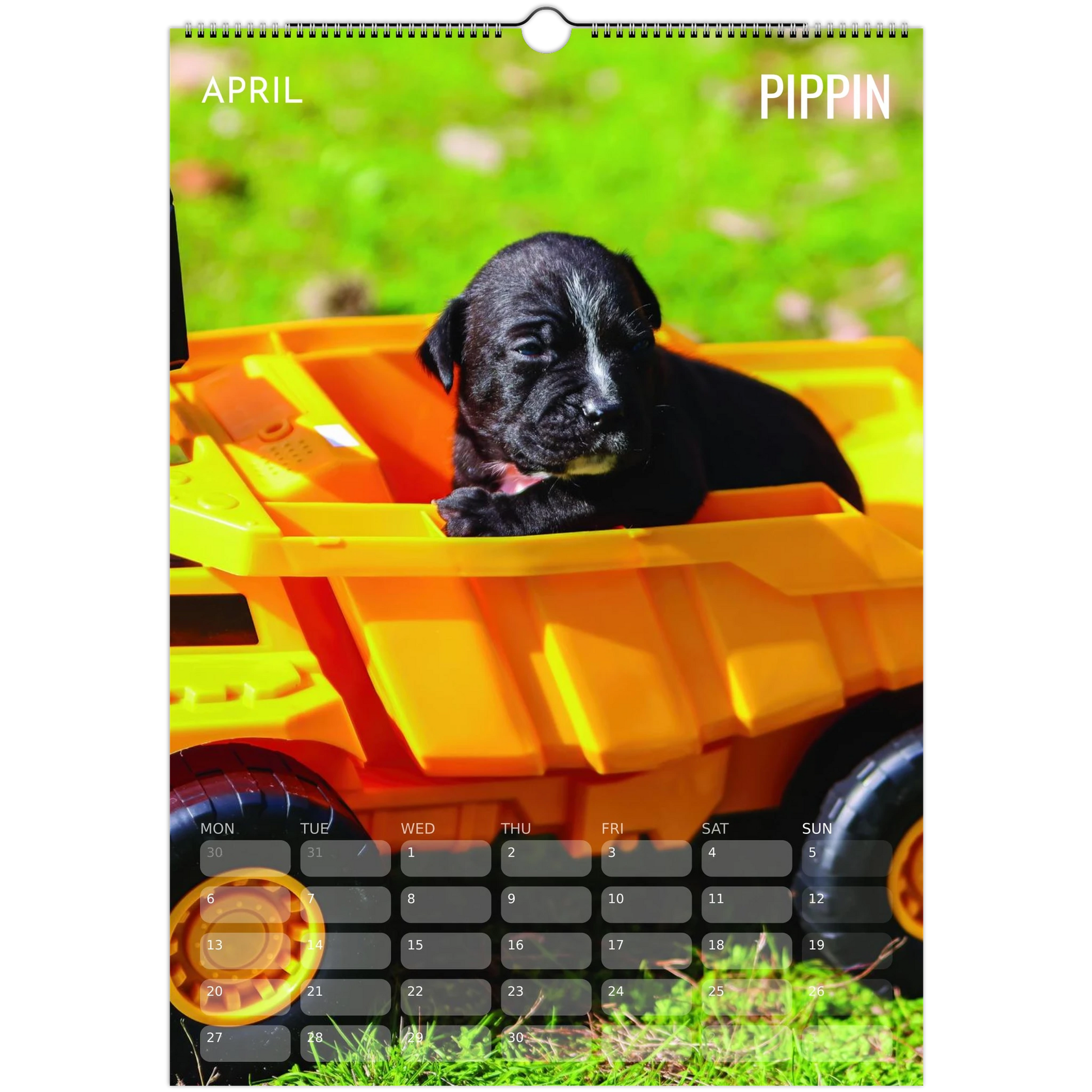 6b278fb3-f796-44c0-b003-f417e9e41011