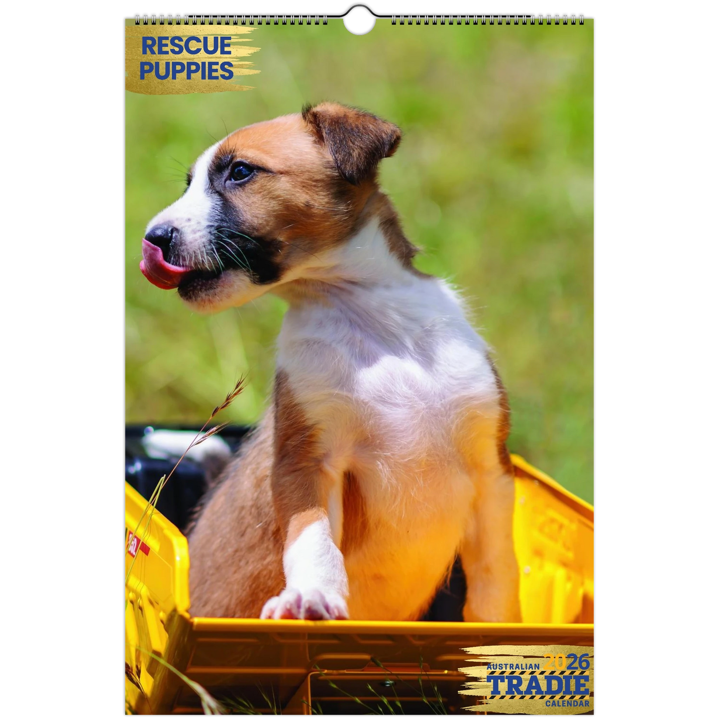 70cd5609-33a4-4e80-85ce-f60665539fd7