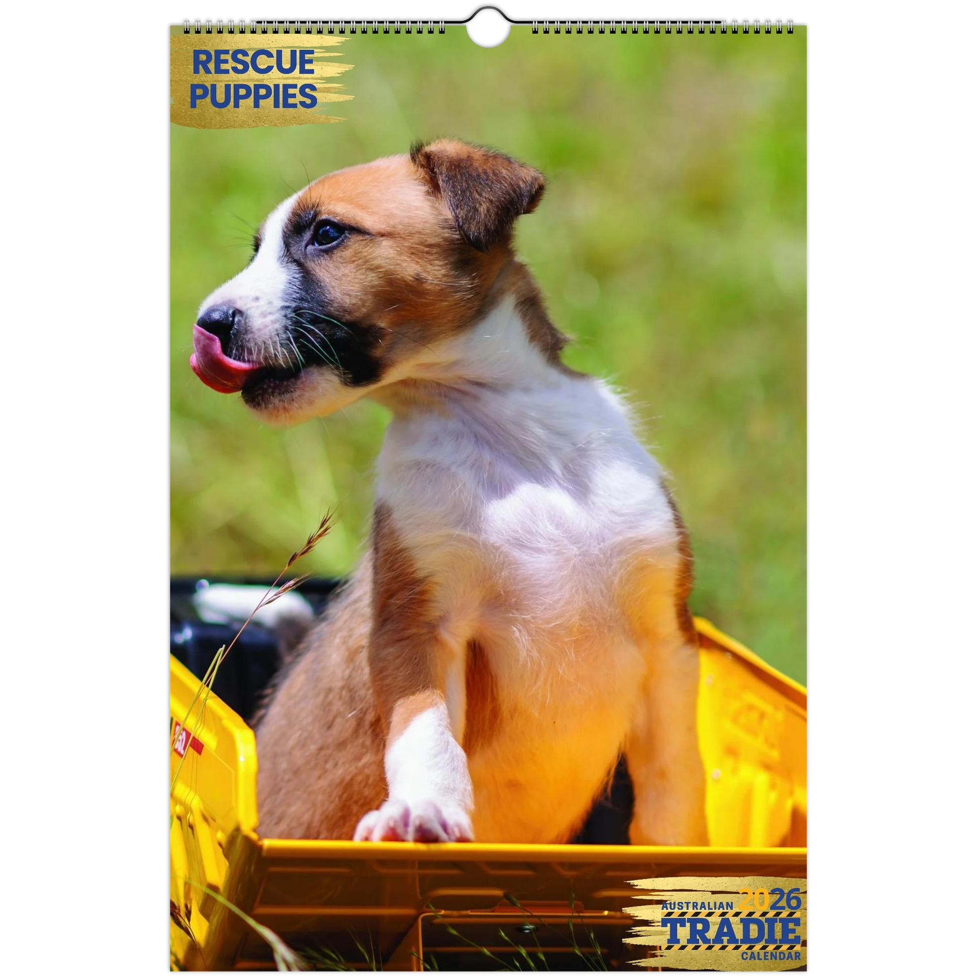 70cd5609-33a4-4e80-85ce-f60665539fd7