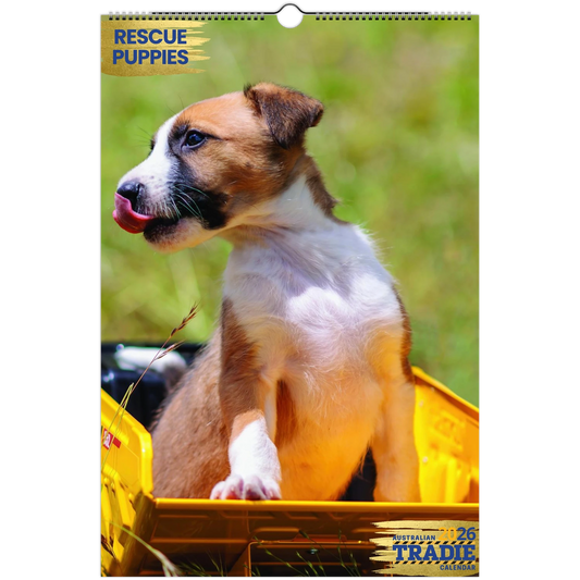 70cd5609-33a4-4e80-85ce-f60665539fd7